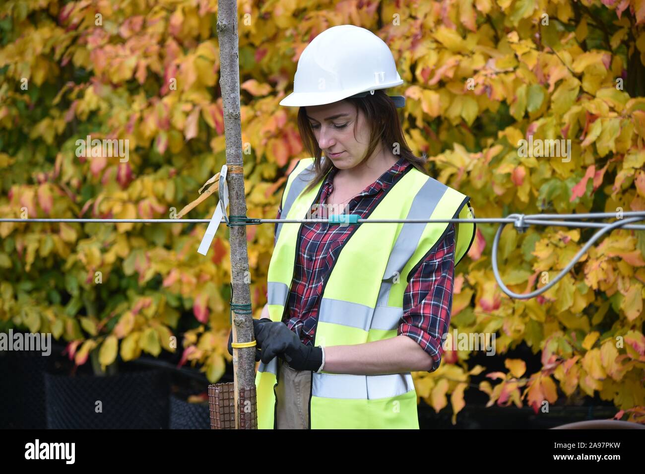 Woman wearing hi vis vest hard hat hi-res stock photography and images ...