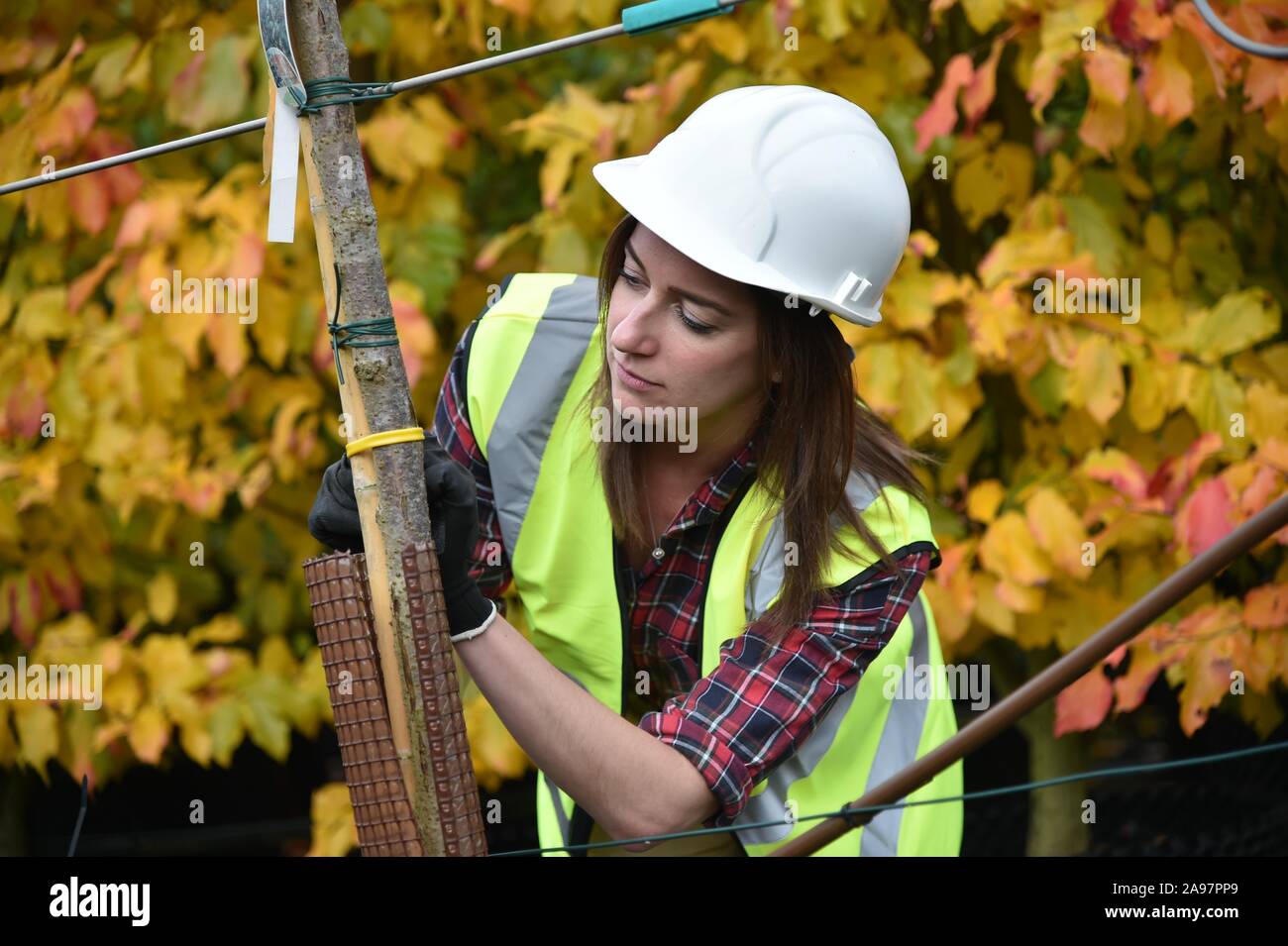Woman wearing hi vis vest hard hat hi-res stock photography and images ...