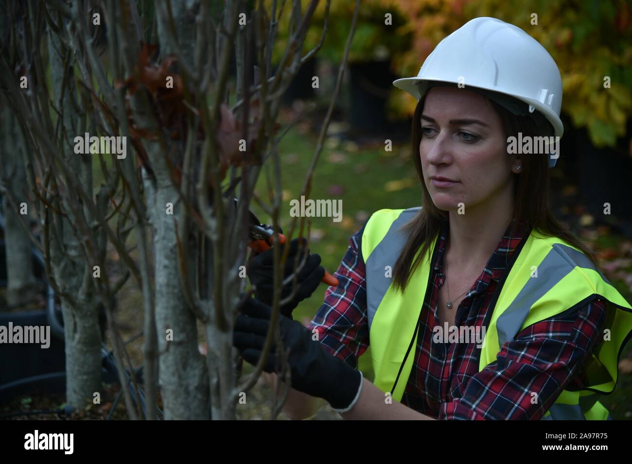 Woman wearing hi vis vest hard hat hi-res stock photography and images ...