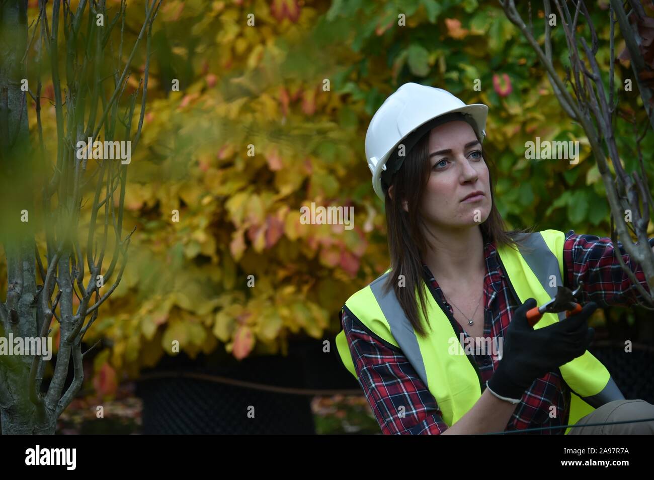 Woman wearing hi vis vest hard hat hi-res stock photography and images ...
