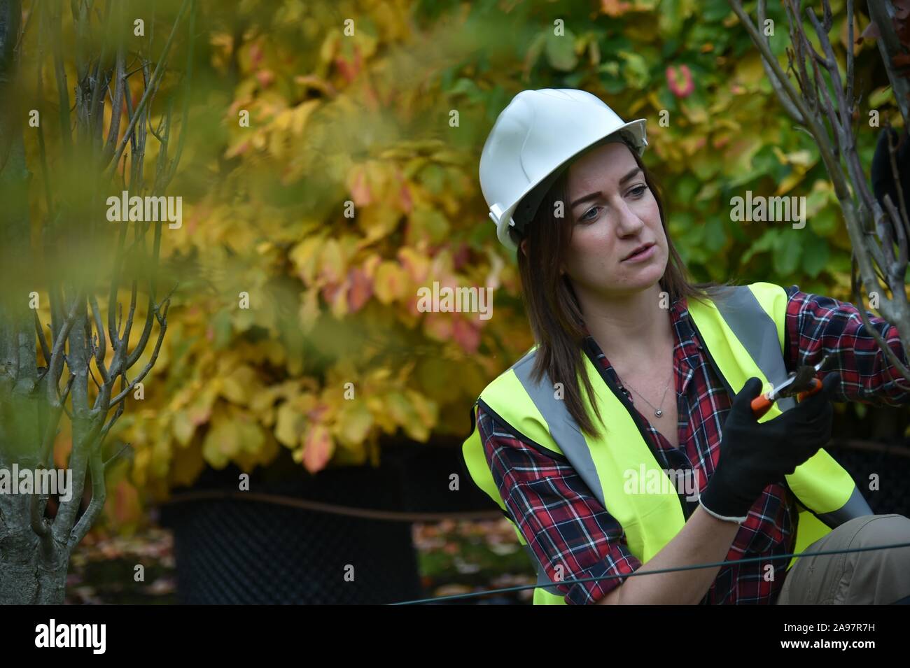 Woman wearing hi vis vest hard hat hi-res stock photography and images ...