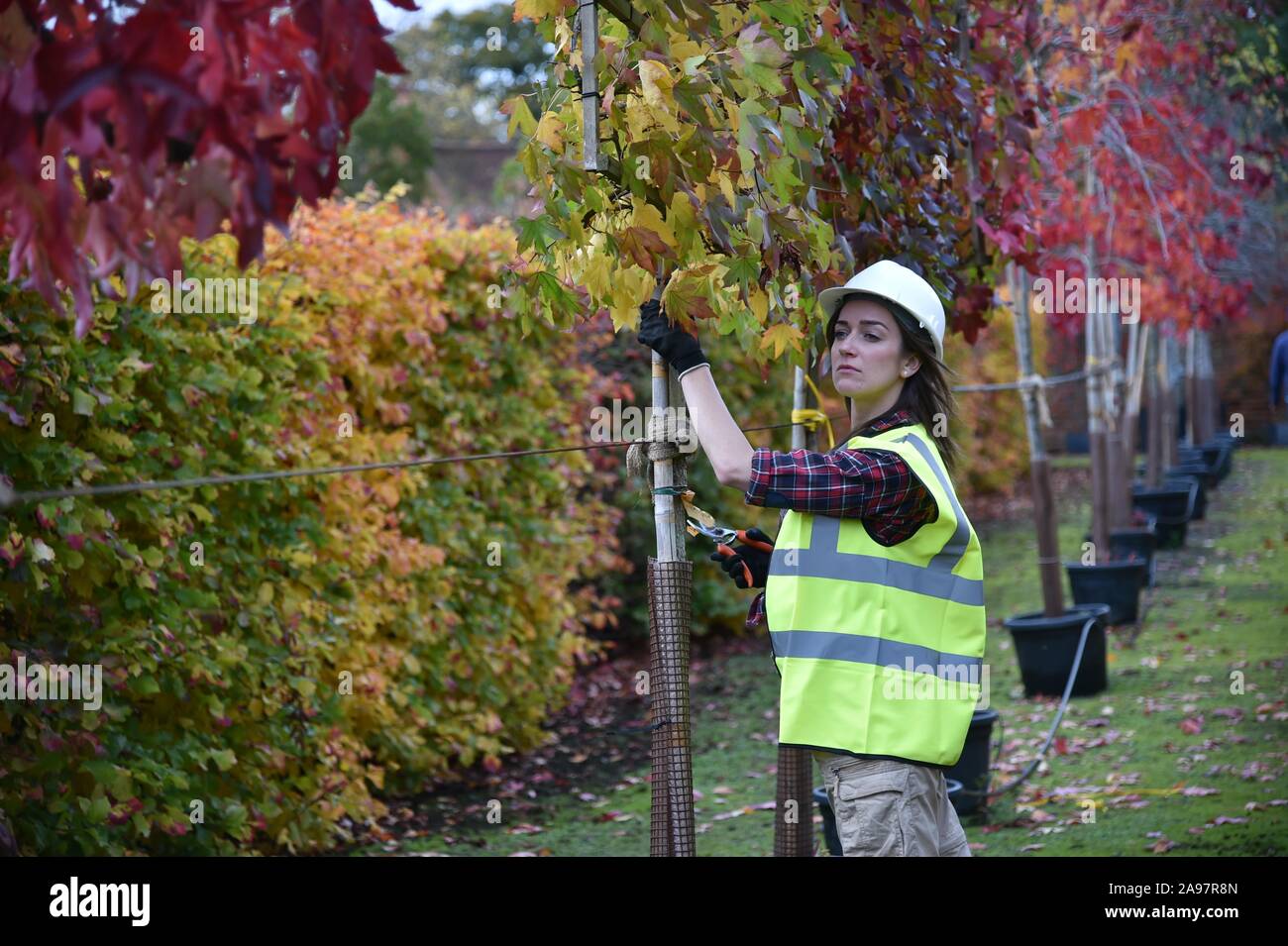 Woman wearing hi vis vest hard hat hi-res stock photography and images ...