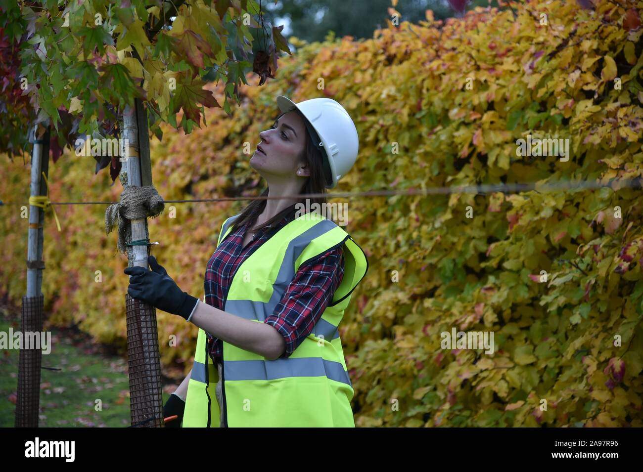 Woman wearing hi vis vest hard hat hi-res stock photography and images ...