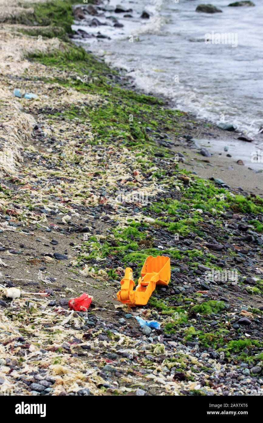 Coastal ecosystems hires stock photography and images Alamy