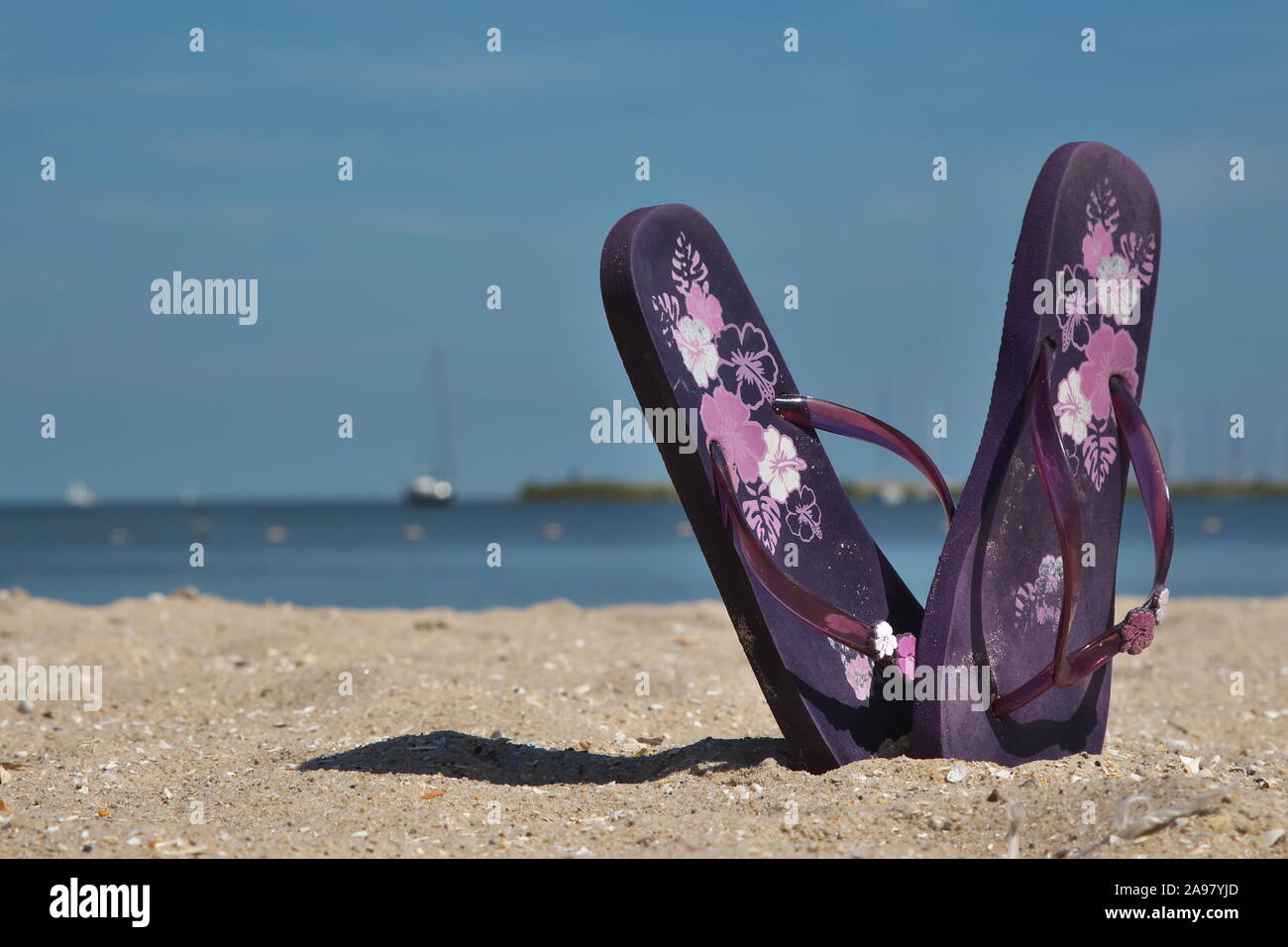 Flip Flops on the Beach Stock Photo - Alamy