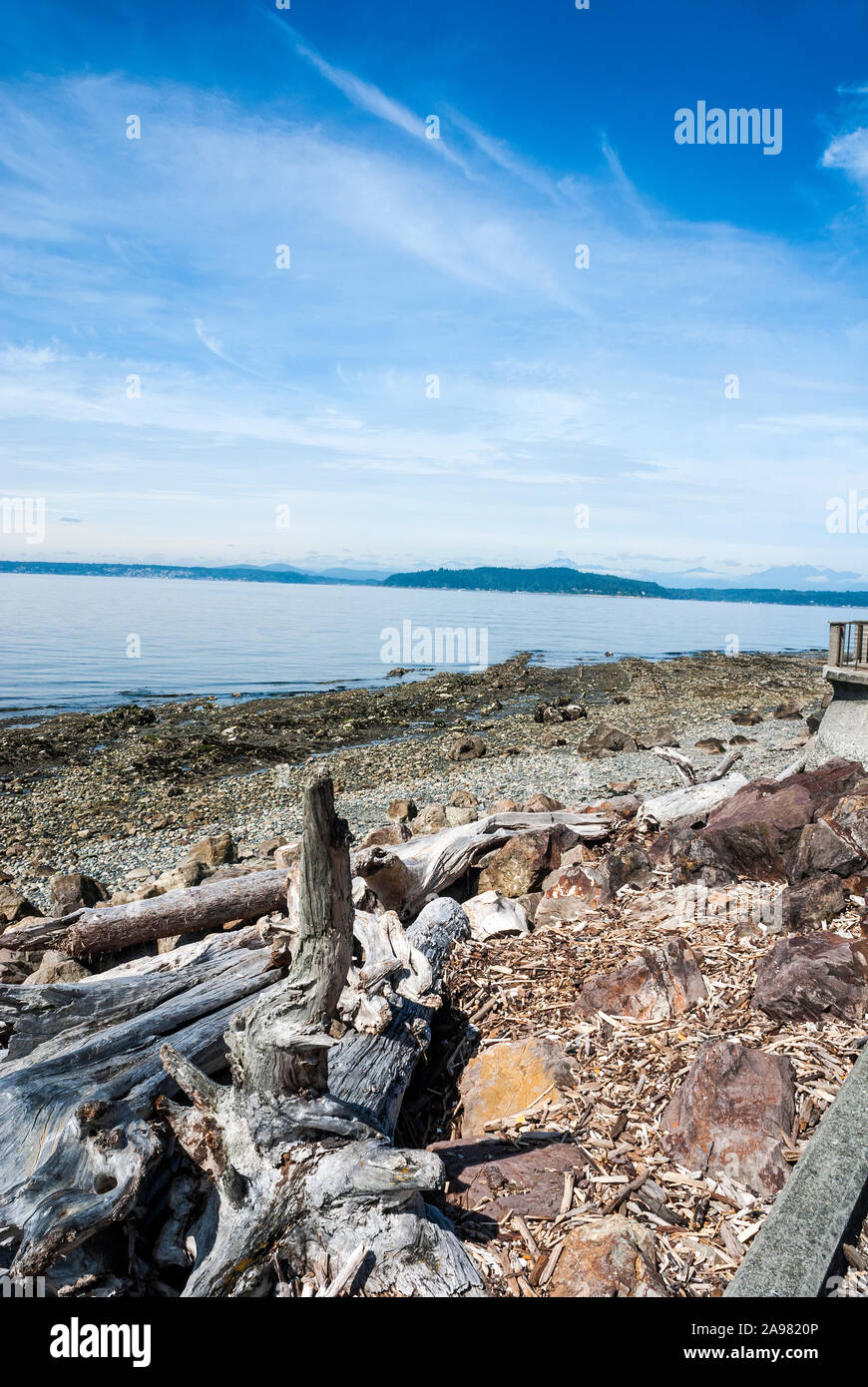 Driftwood on Alki Beach in West Seattle. Stock Photo