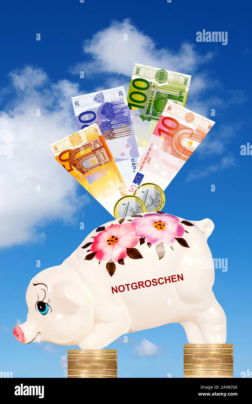 Sparschwein mit der Aufschrift Notgroschen, steht auf Euro Münzen, mit Euro Banknoten vor Wolkenhimmel, Stock Photo