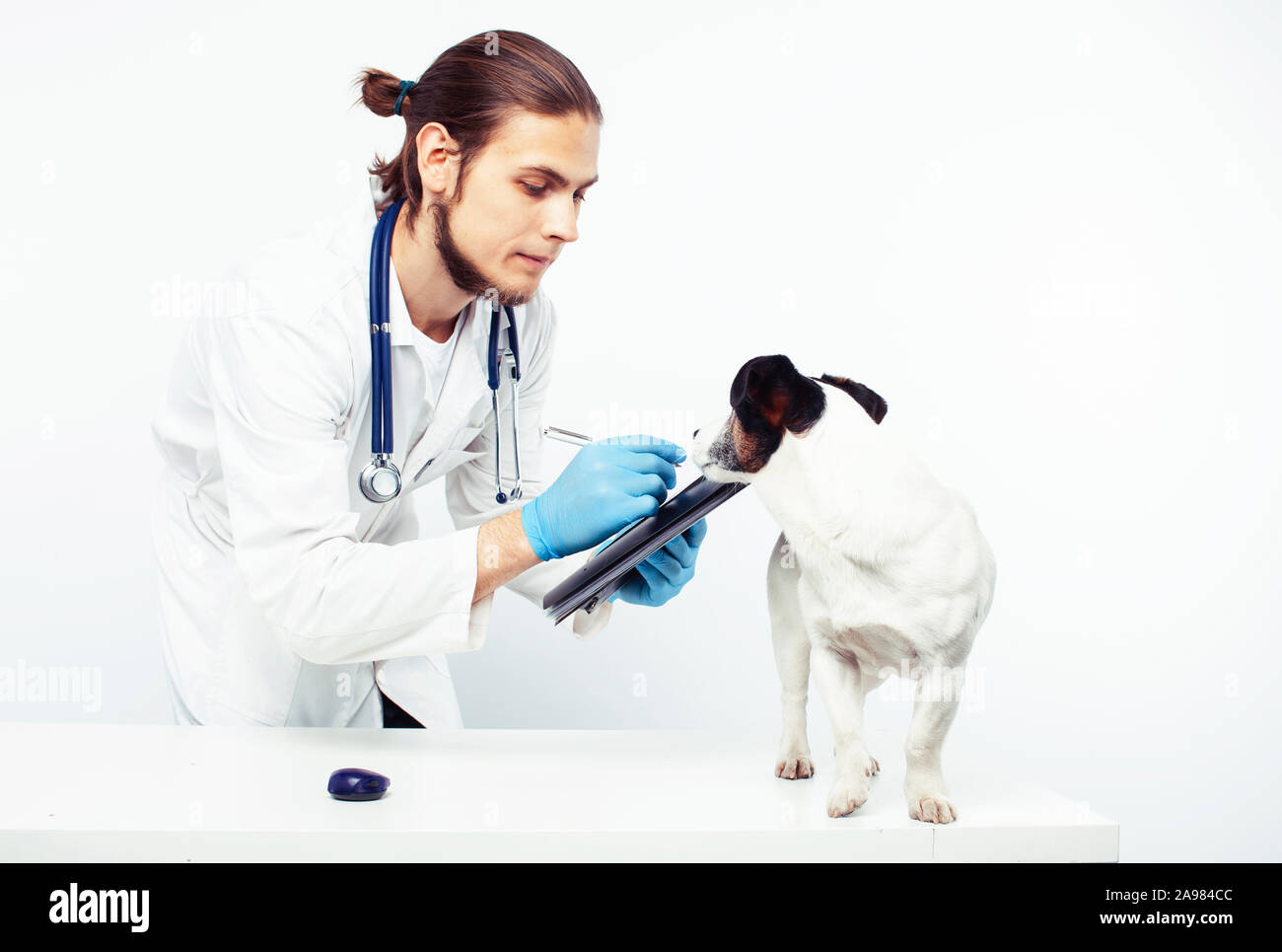 Puppy doctor. Ветеринар Юный кабинет.