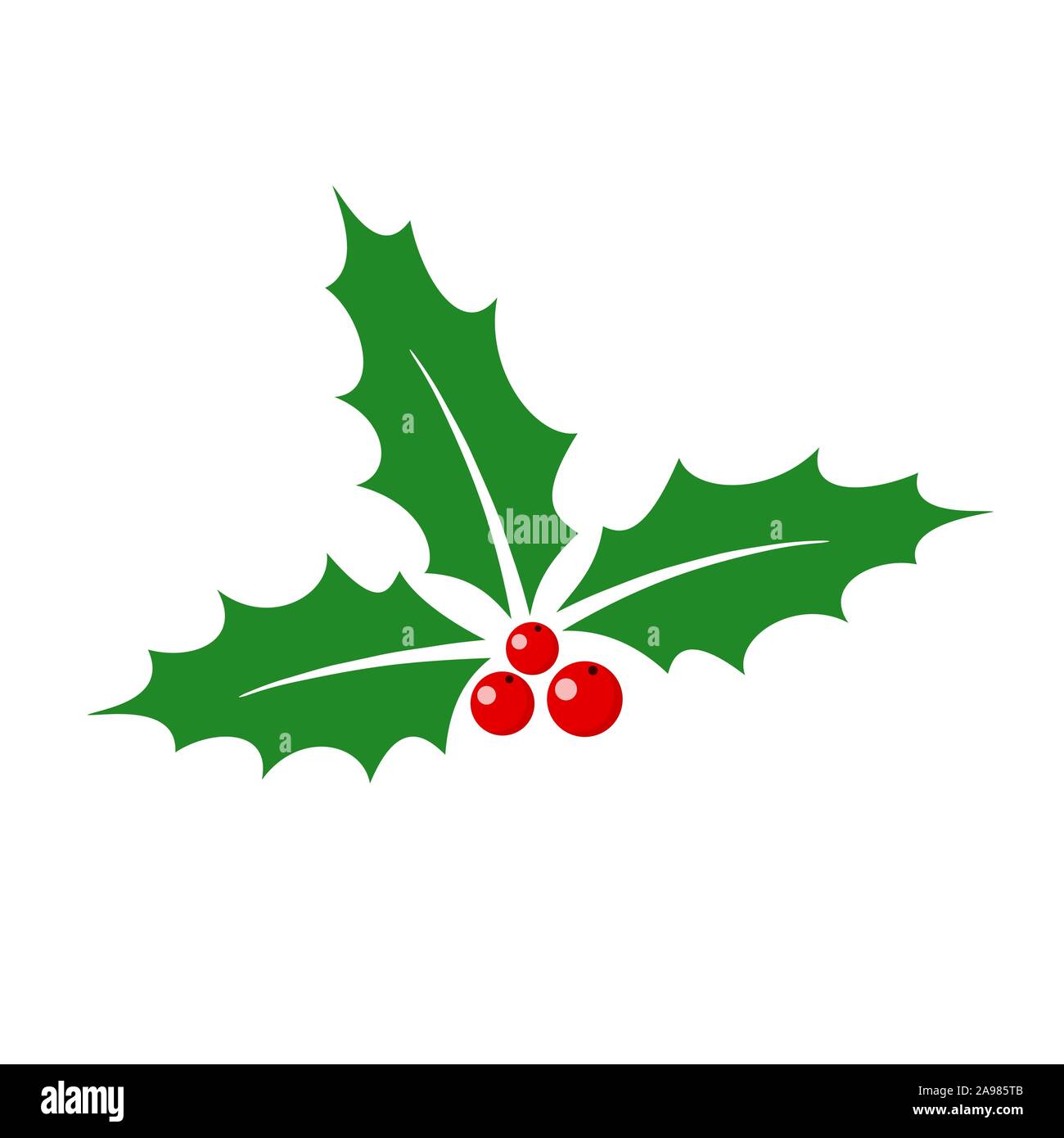 Christmas Holly Berry Leaves Vector Illustration Stock Vector