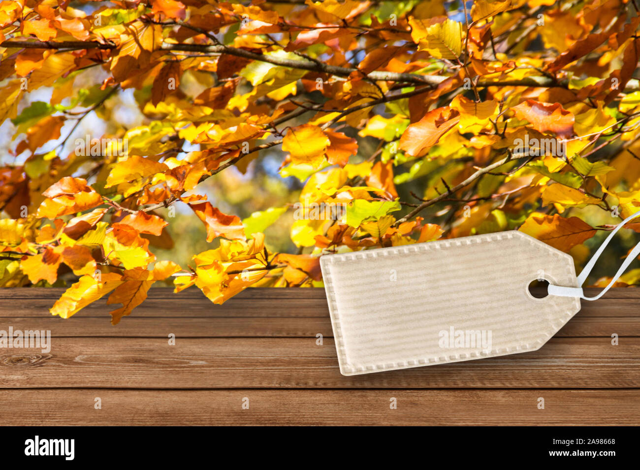 Autumn wooden background and label Stock Photo - Alamy