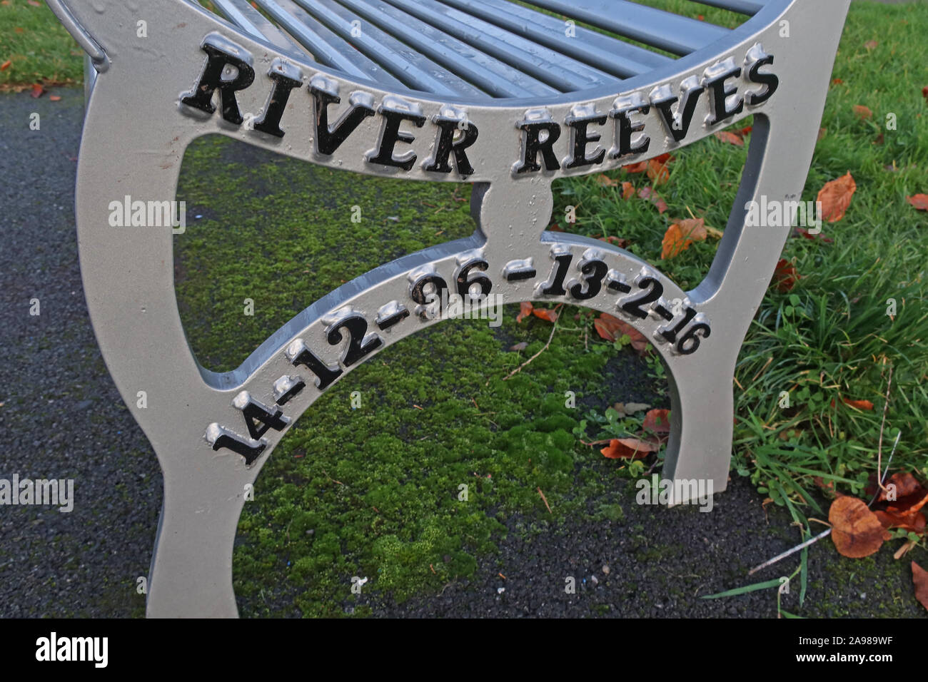 Viola Beach Silver Bench,Grappenhall Heys, Warrington, Cheshire, North West England, UK - Memorial Seat, 13/02/2016 - 'And Now Lets Go To A Party' Stock Photo