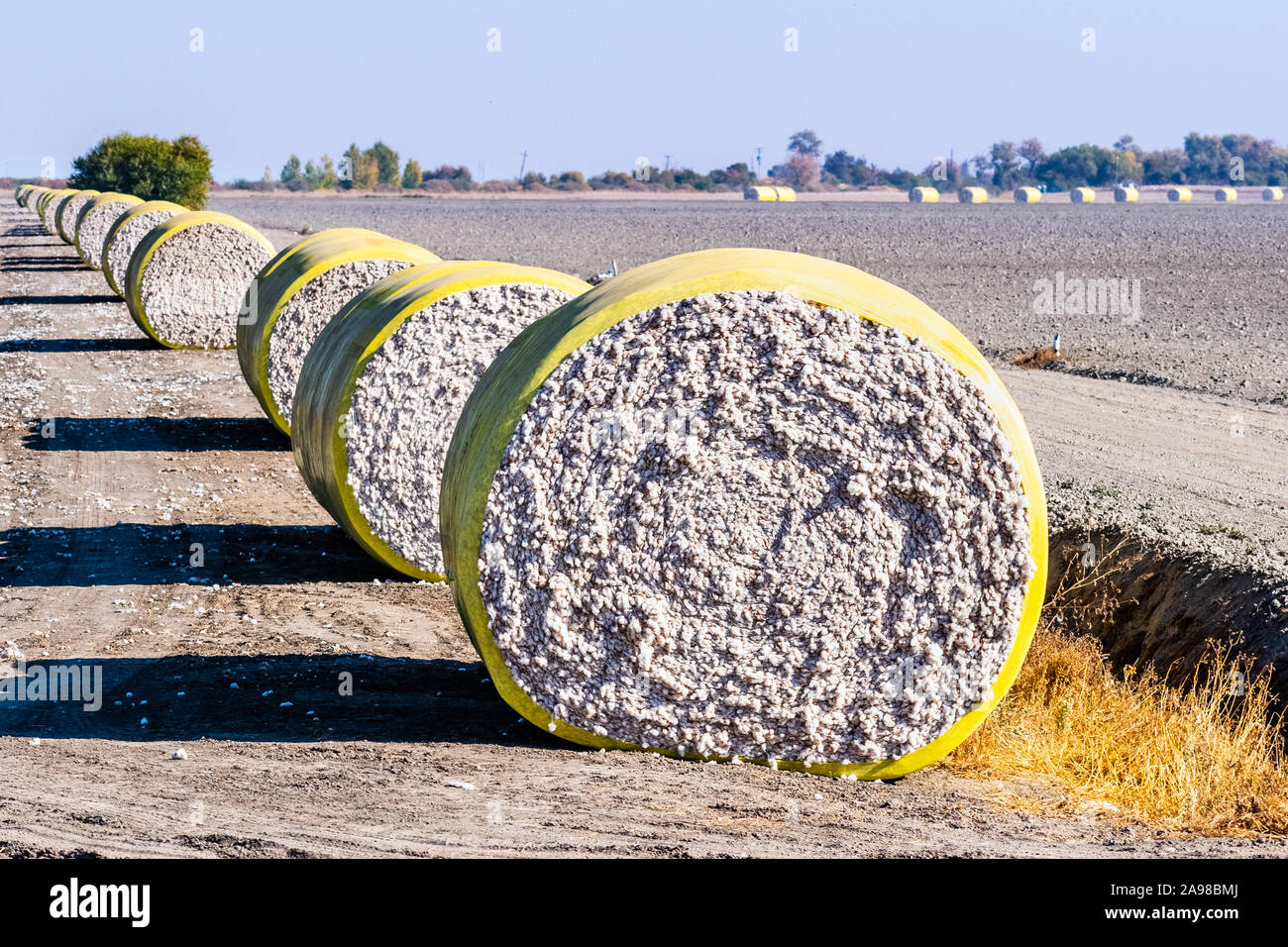 Cotton bales arranged in a row next to a harvested field, ready for pick up; Central California, United States Stock Photo