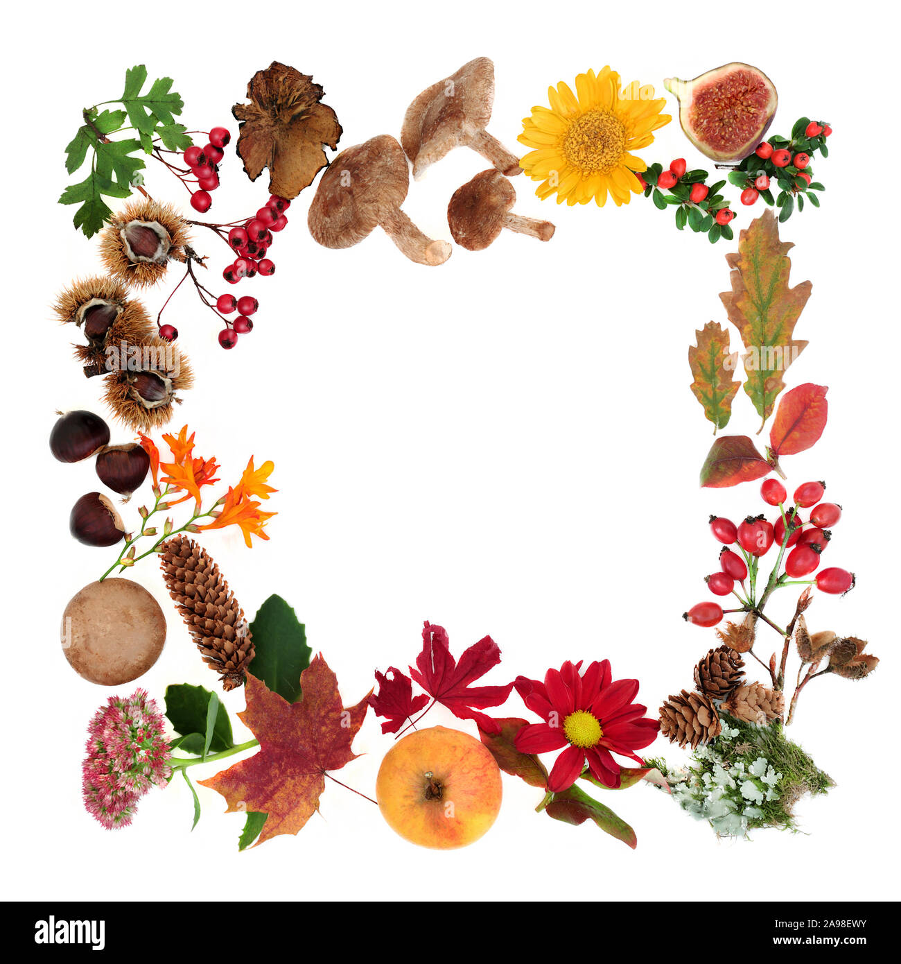 Natural Autumn wreath composition with a variety of natural flora, fauna and food on white background with copy space. Harvest festival concept. Stock Photo