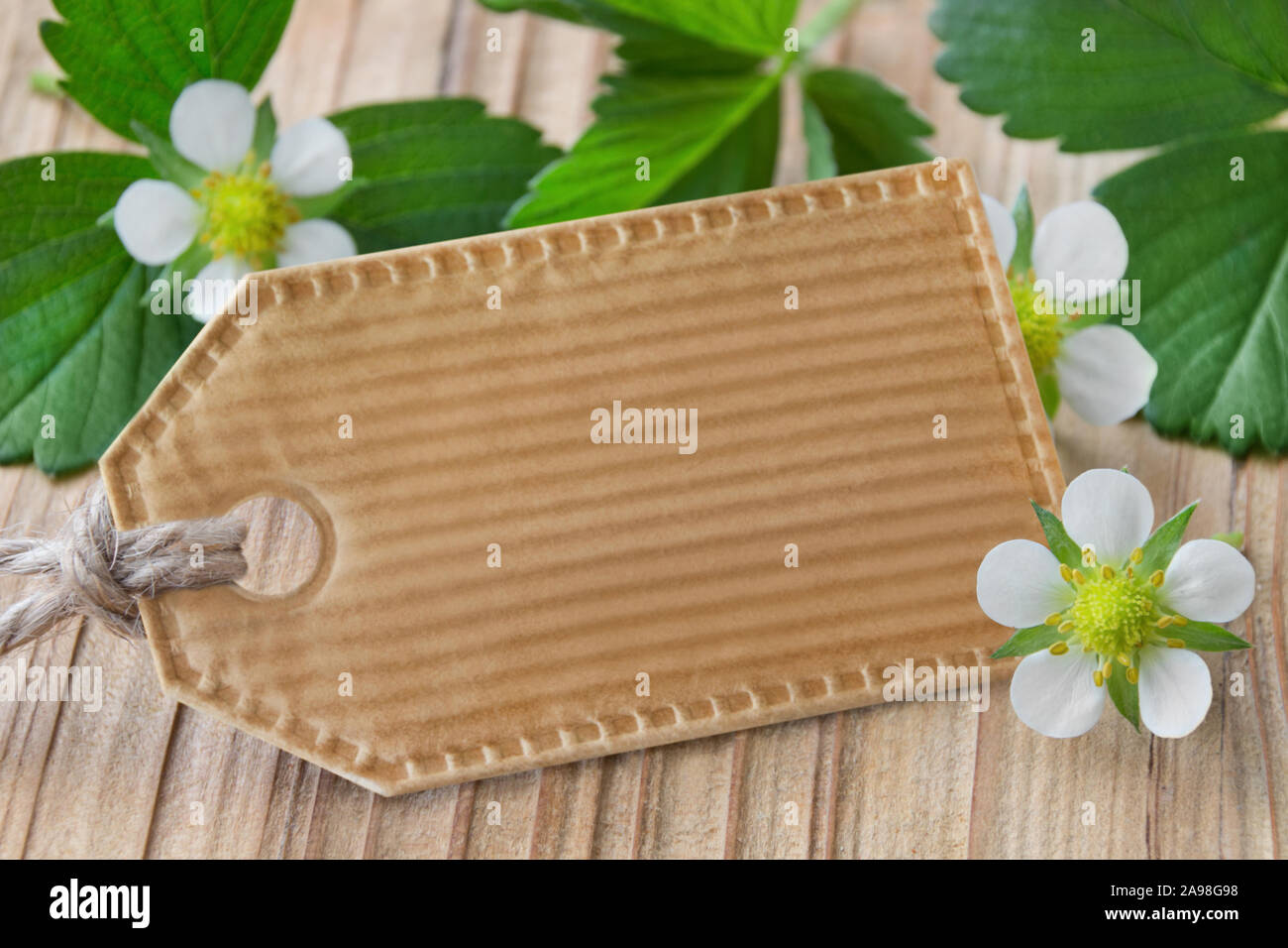 Strawberry plant label High Resolution Stock Photography and Images - Alamy