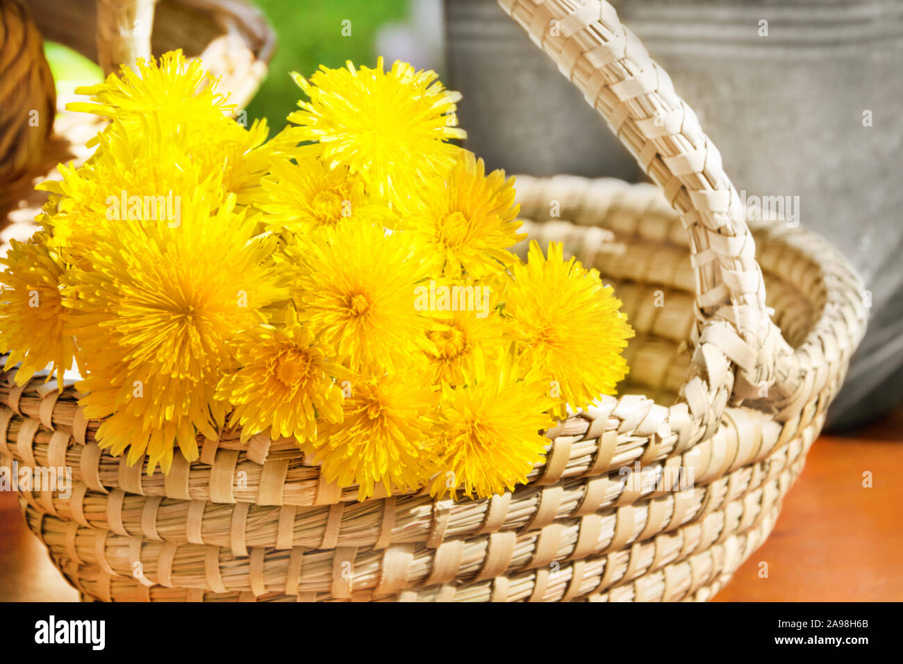 Dandelion and basket close up Stock Photo