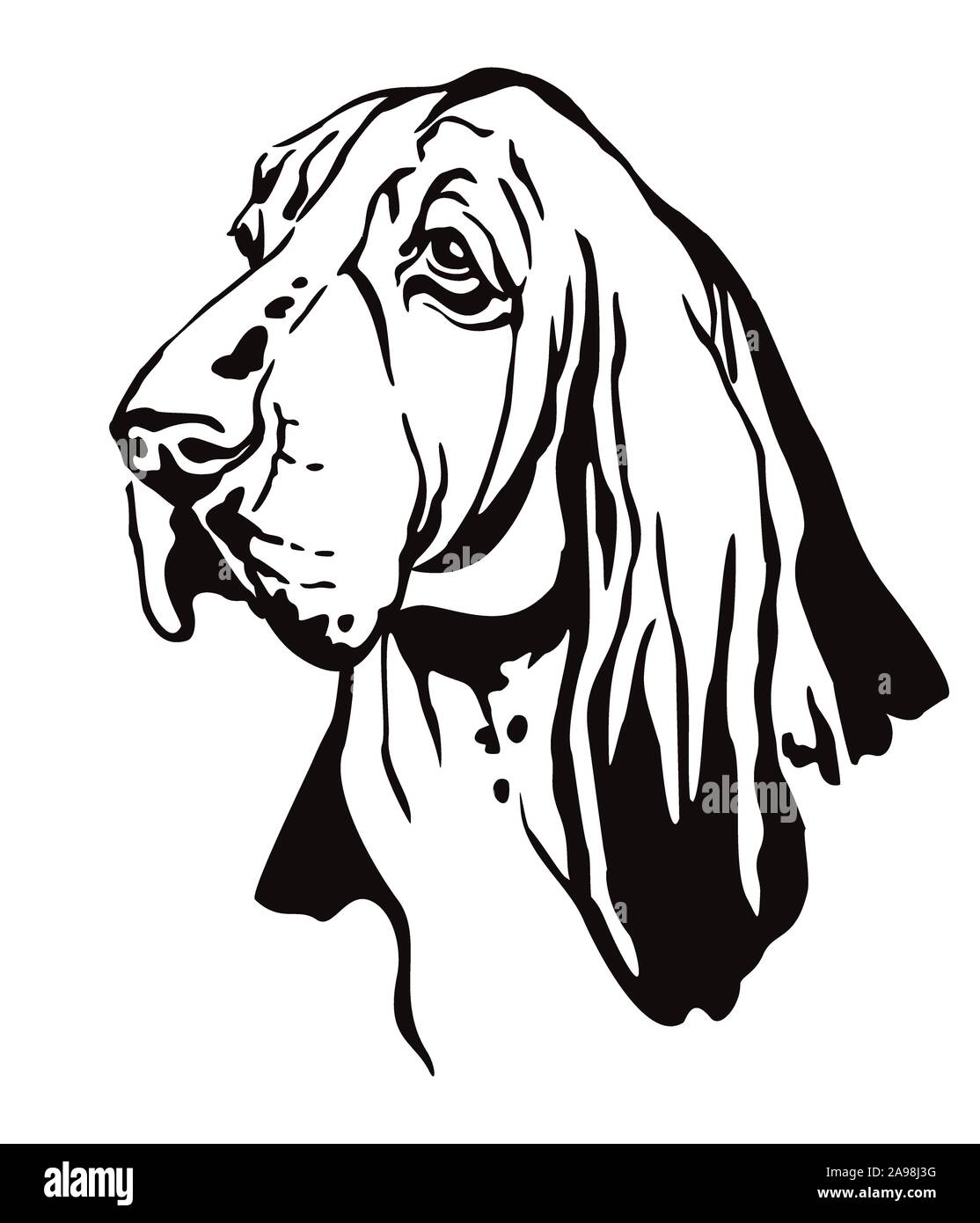 Decorative contour outline portrait of Dog Basset Hound looking in profile, vector illustration