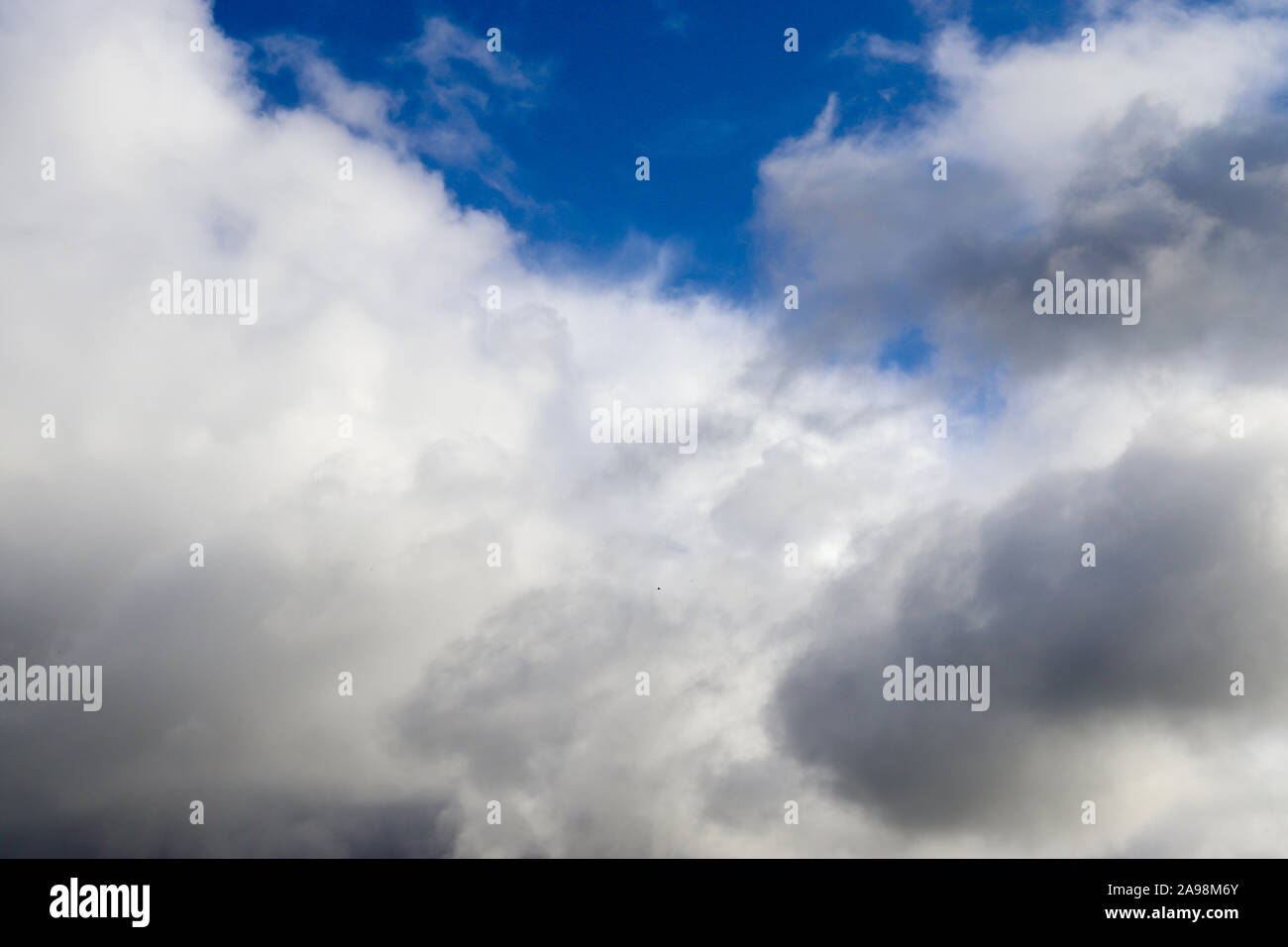 Beautiful fluffy white clouds on a deep blue sky Stock Photo - Alamy