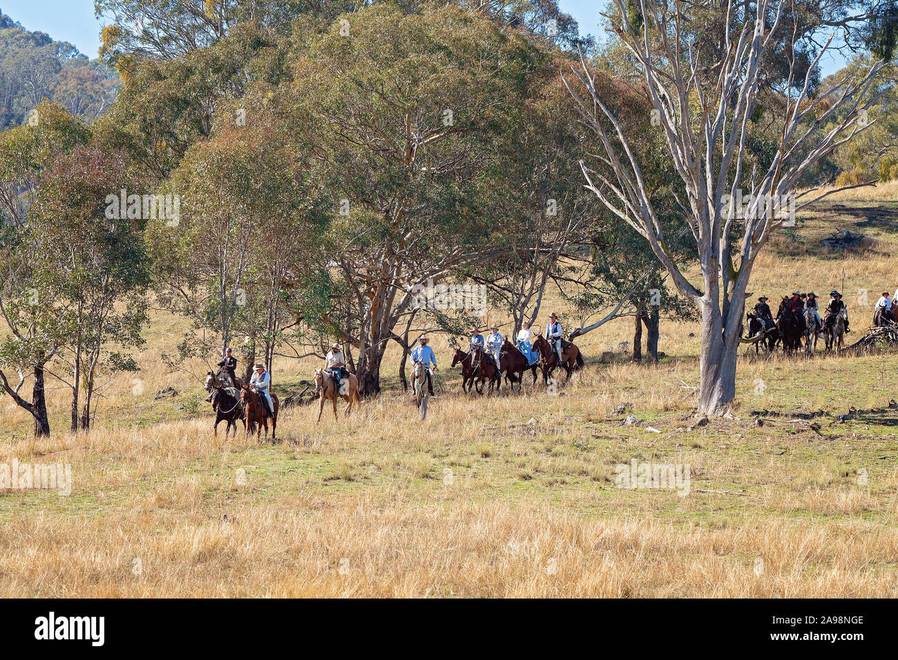 CORRYONG, VICTORIA, AUSTRALIA - APRIL 5TH 2019: The Man From Snowy River Bush Festival re-enactment, riders on horseback come down from out of the bus Stock Photo