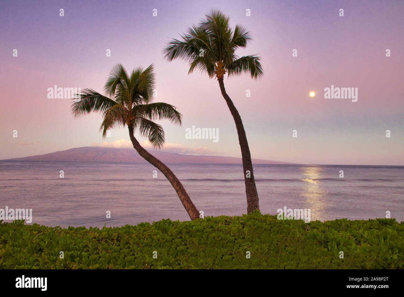 View of Lanai with setting moon at sunrise from Kaanapali Beach on Maui. Stock Photo