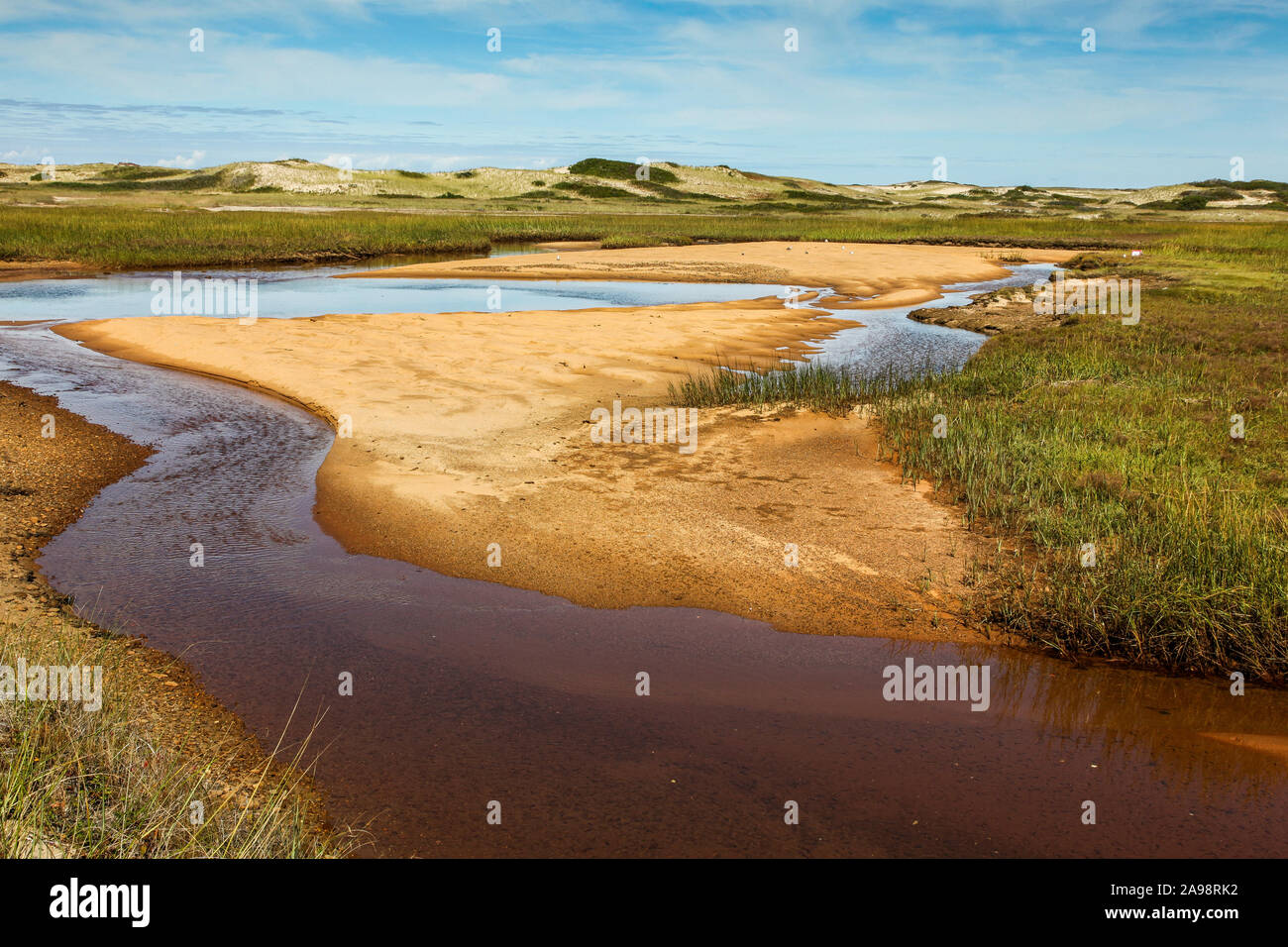 Green grass with ocean water and sand near Provincetown Stock Photo