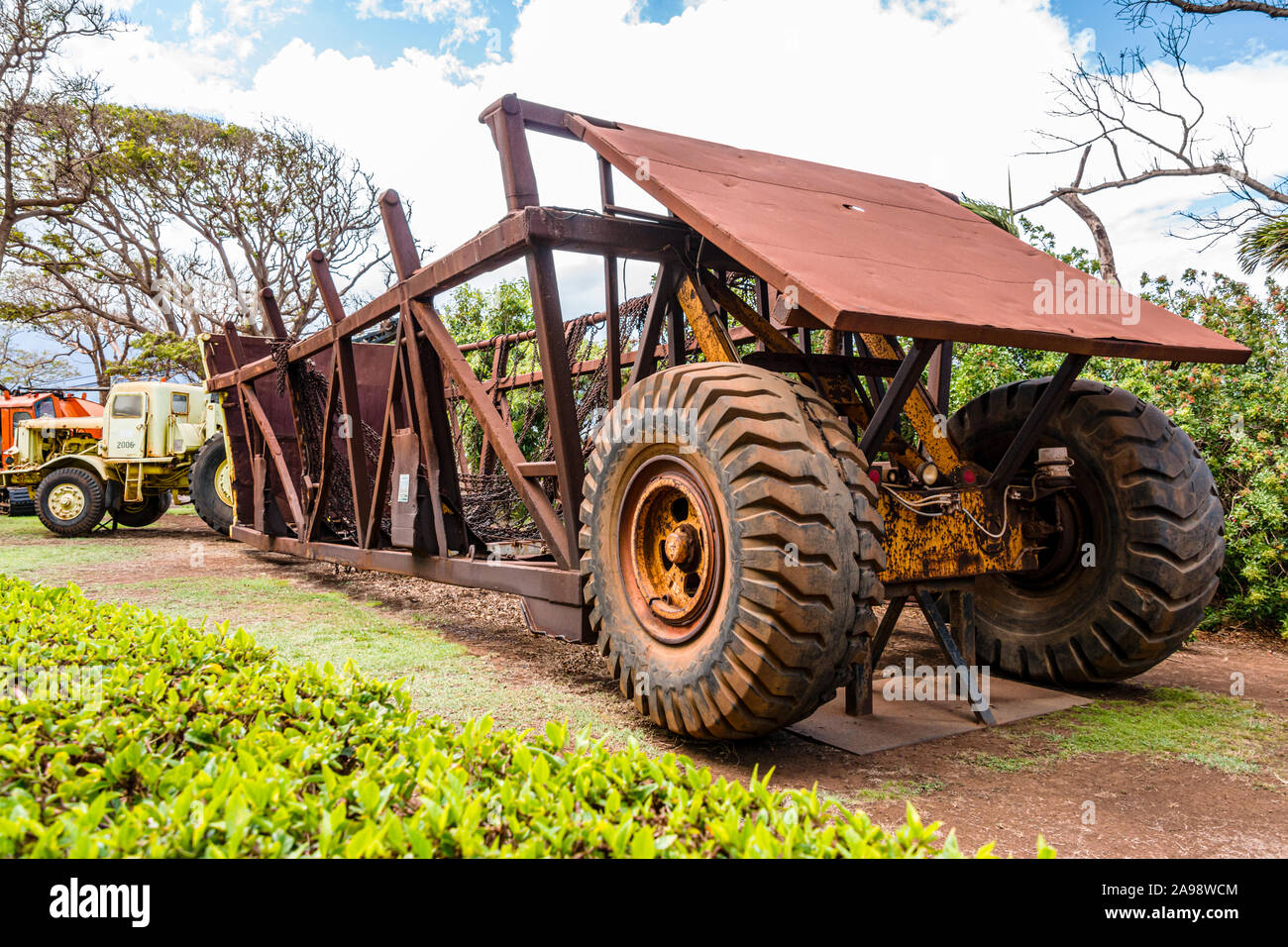 Hawaiian sugar cane hires stock photography and images Alamy