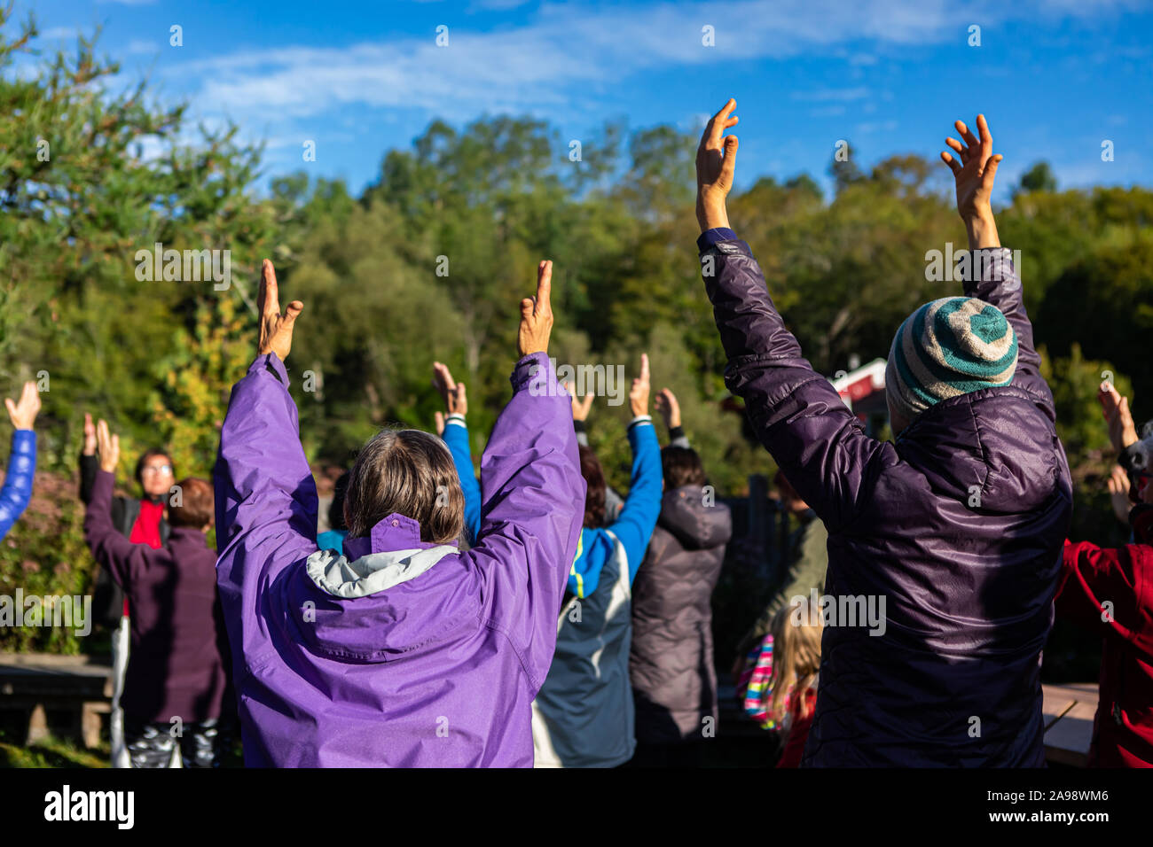 Backside view photo of mixed generation people making big gestures with arms in the air while participating in yoga session  Stock Photo