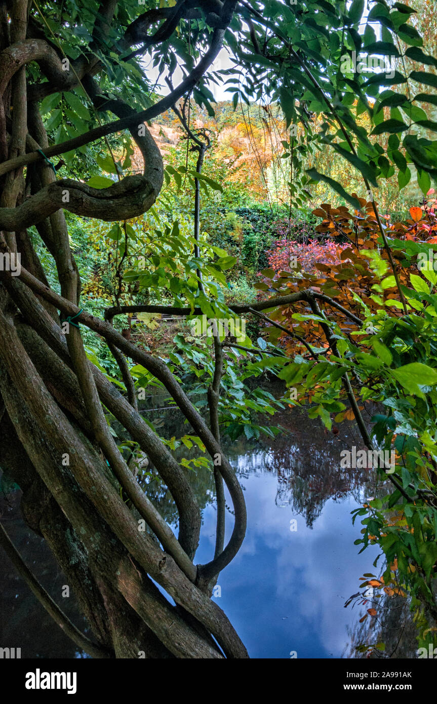 Lily garden japan hires stock photography and images Alamy