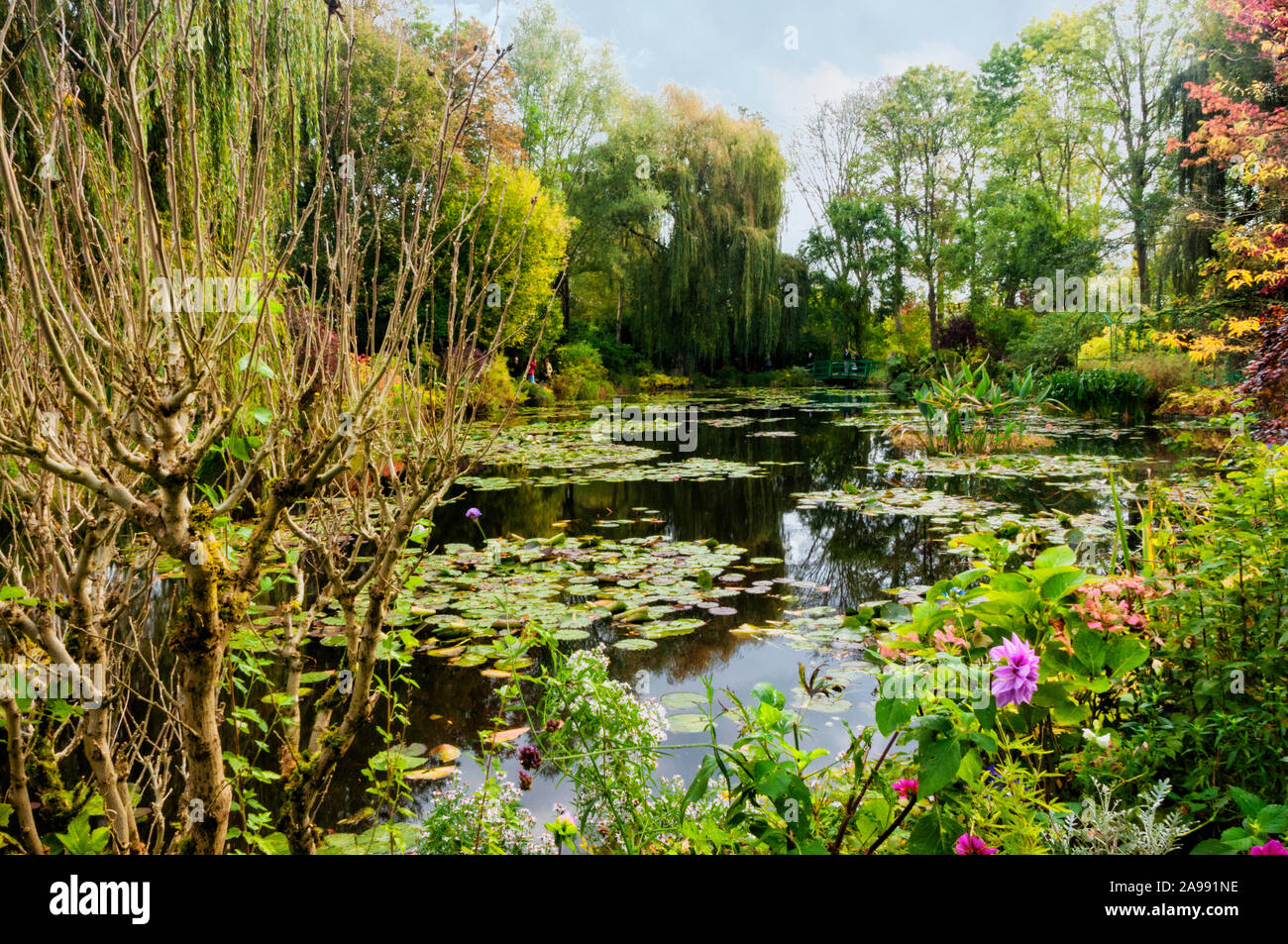 Japanese garden with lily pond Stock Photo Alamy