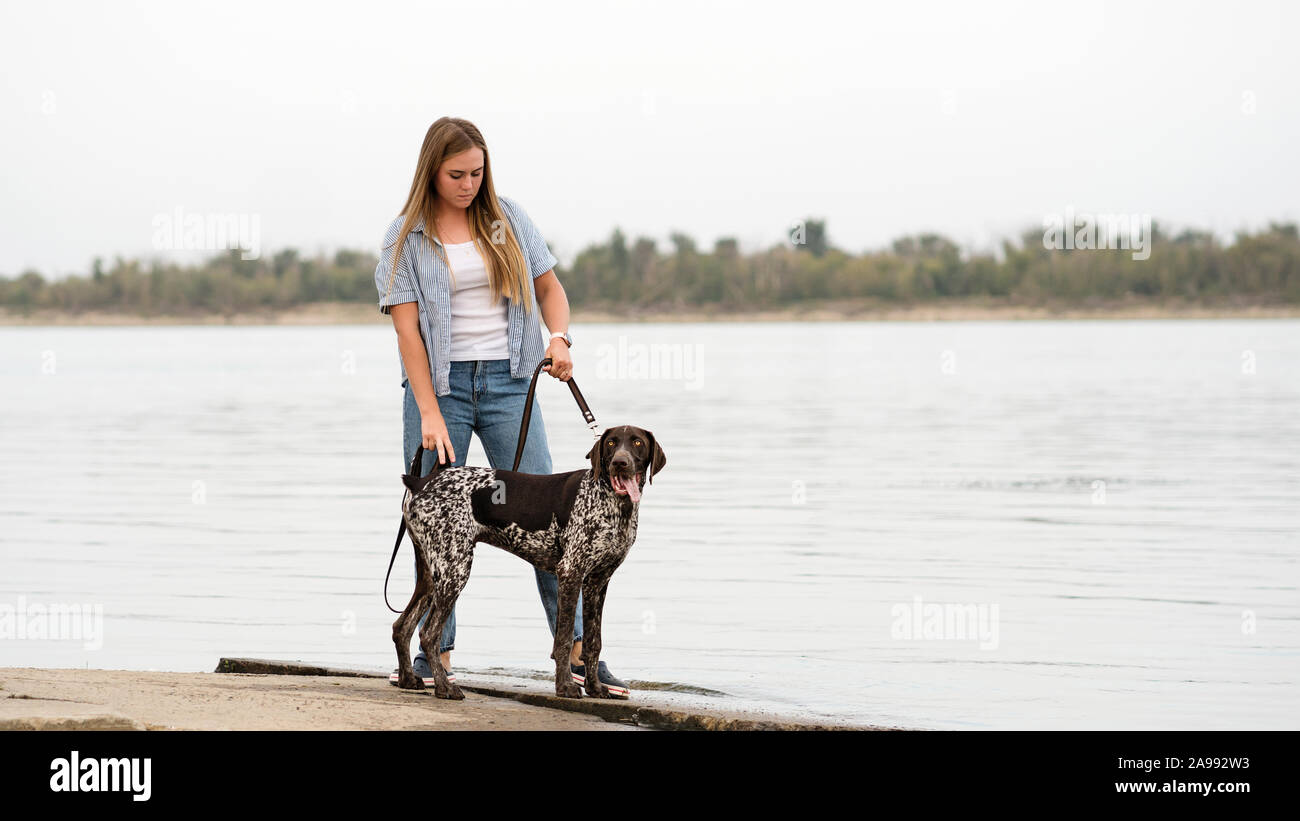 German shorthaired pointer sitting on hi-res stock photography and images -  Alamy