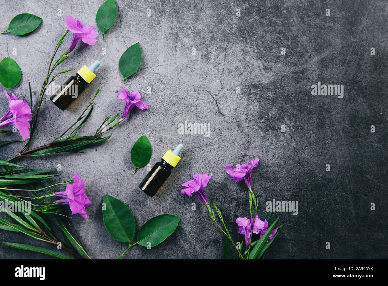 Essential oils natural and green leaf organic , flat lay / Aromatherapy