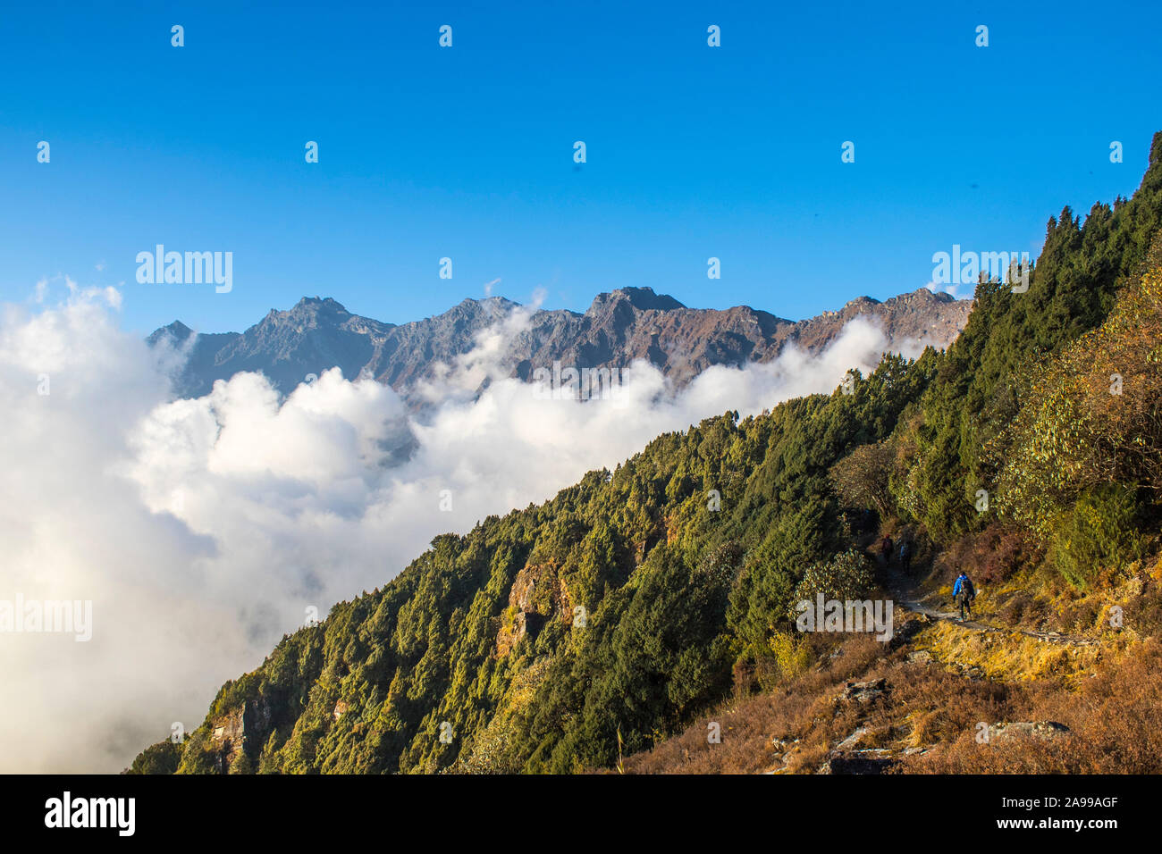 The majestic himalayan mountain range rising above the jungle making a fantastic view together with low lying clouds in Thatepati. Stock Photo