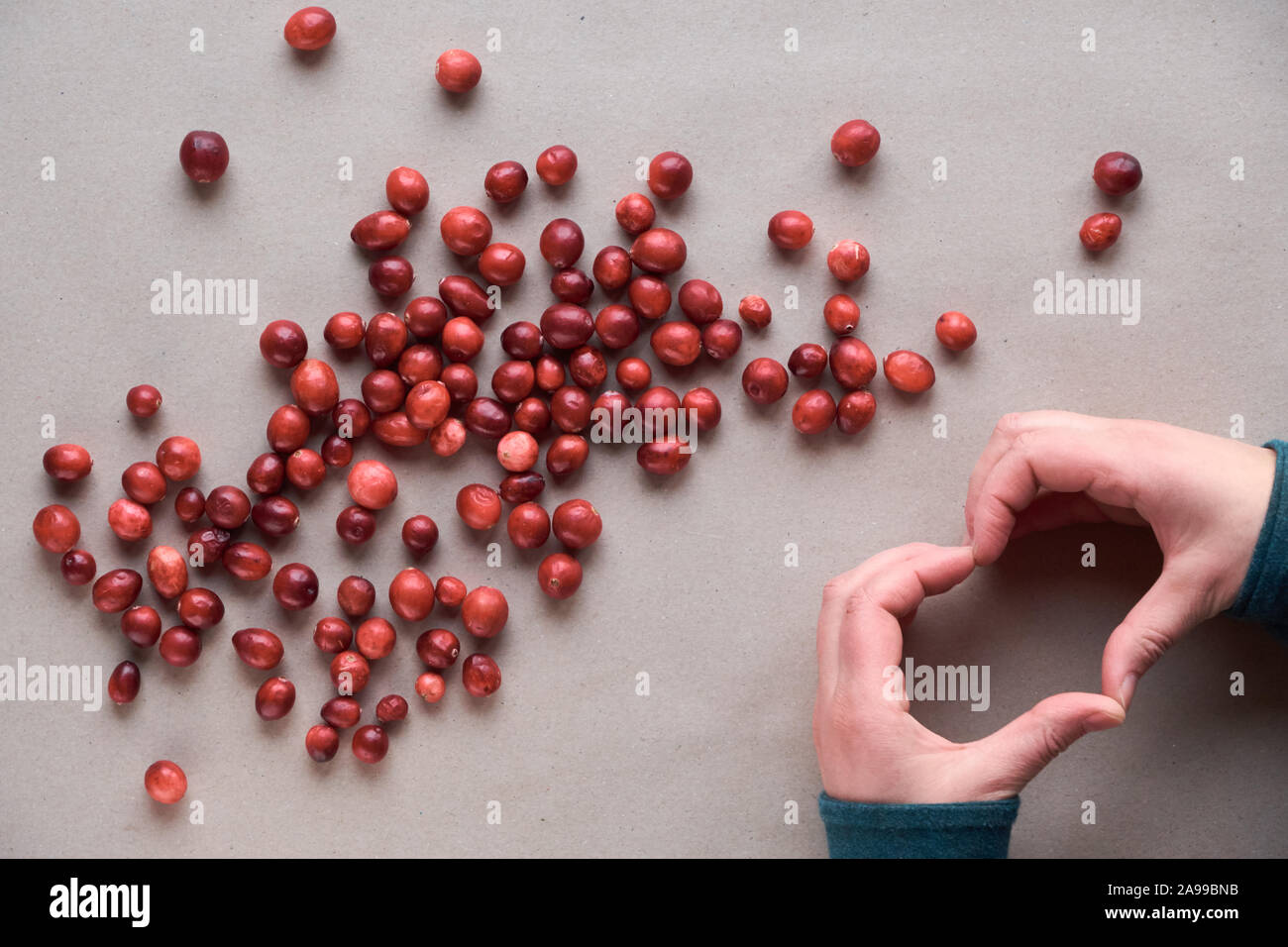 Raw fresh cranberry berry, view from above. Cranberry background, top view, flat lay on craft paper Stock Photo