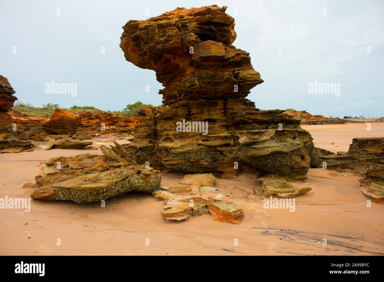 Dinosaur footprints australia hires stock photography and images Alamy