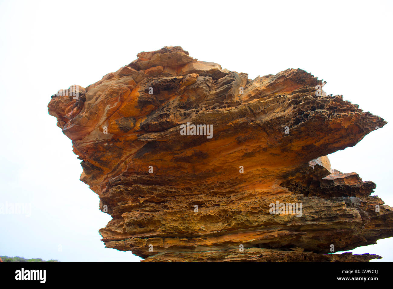 Dinosaur footprints australia hires stock photography and images Alamy