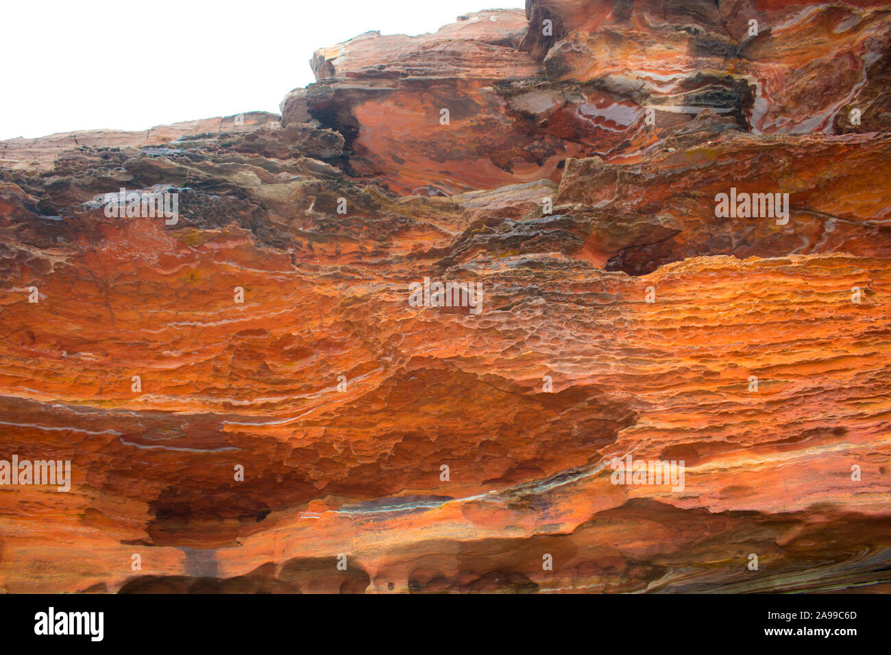 Dinosaur footprints australia hires stock photography and images Alamy