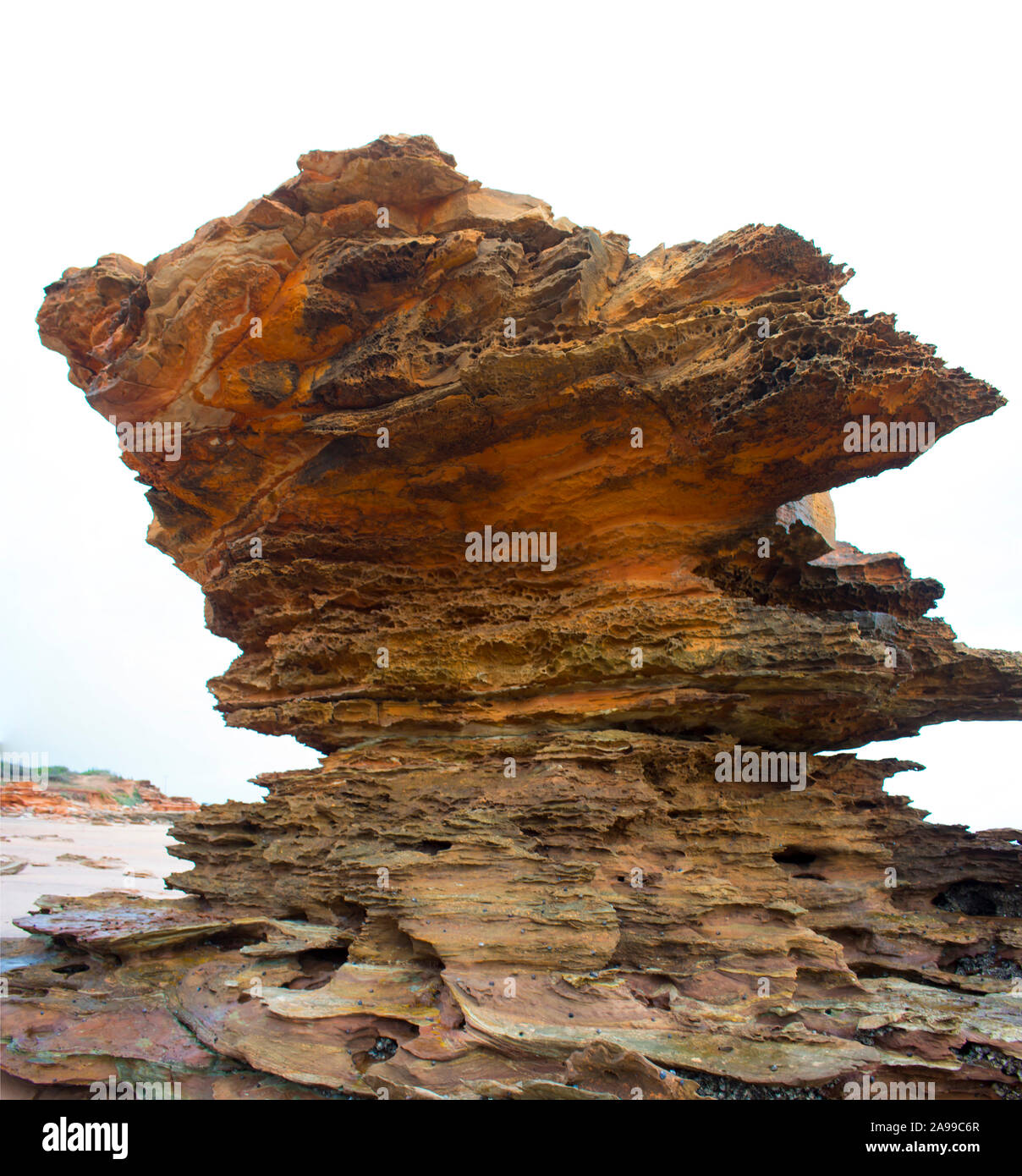 Dinosaur footprints australia hires stock photography and images Alamy