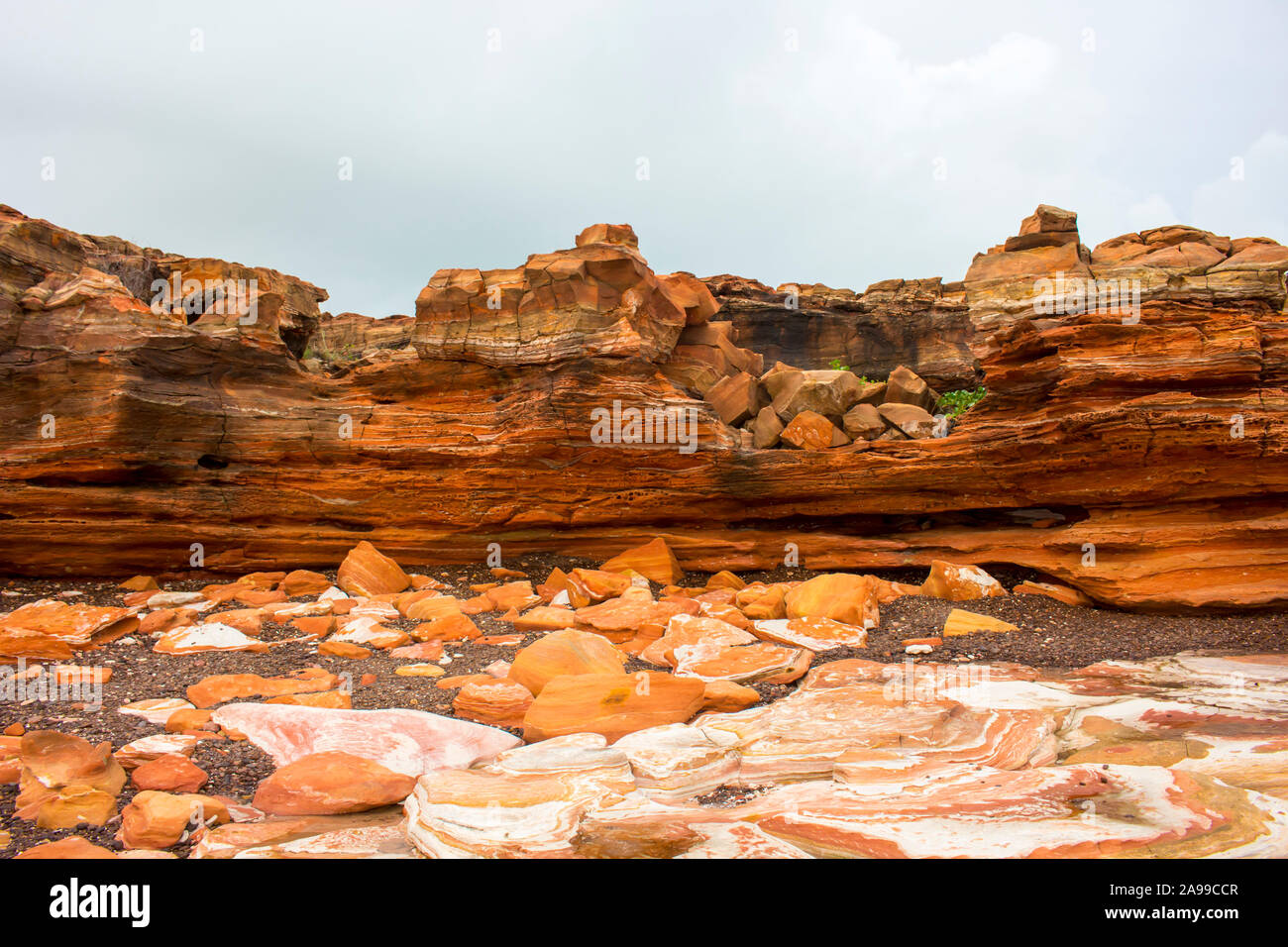 Dinosaur footprints australia hires stock photography and images Alamy