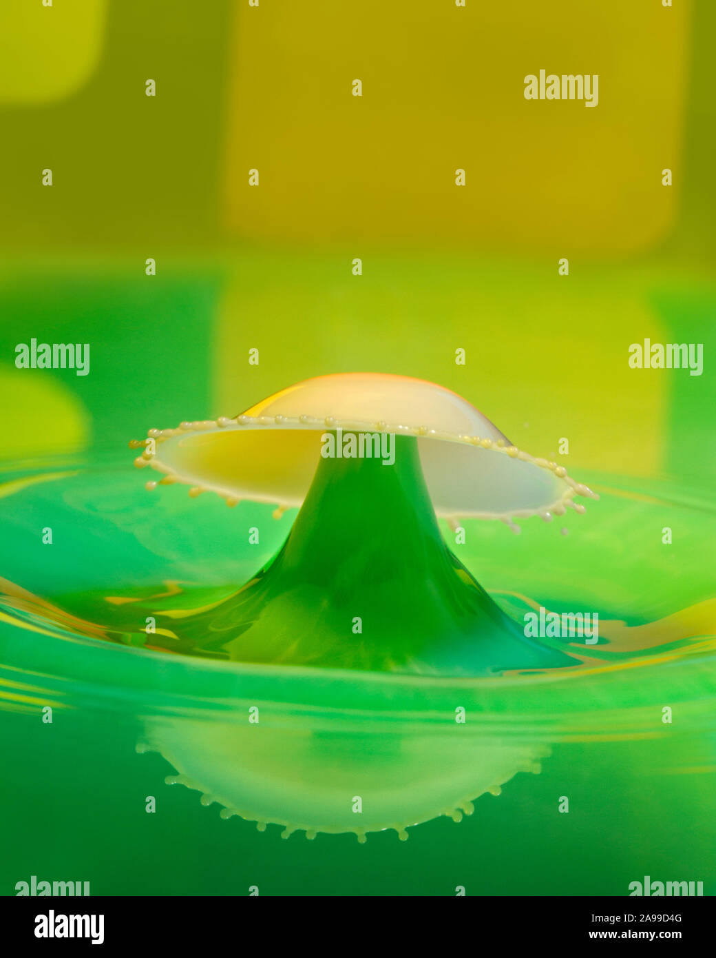 Coloured water drops released at the precise time to collide and form a shape - a green and yellow umbrella Stock Photo