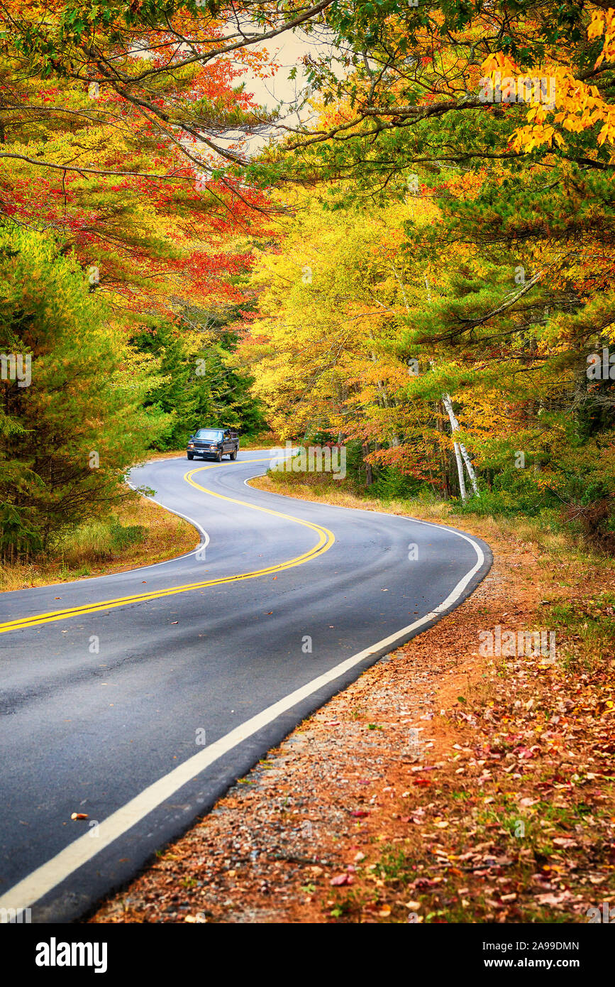 Winding road through beautiful autumn foliage trees in New England