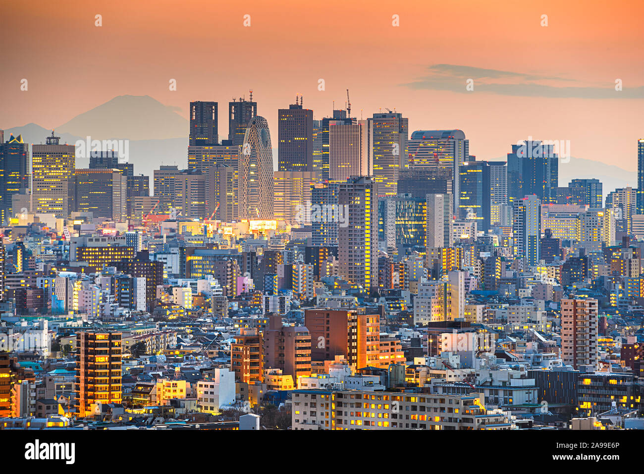 Tokyo, Japan cityscape with Shinjuku Ward and Mt. Fuji in the distance at dusk. Stock Photo