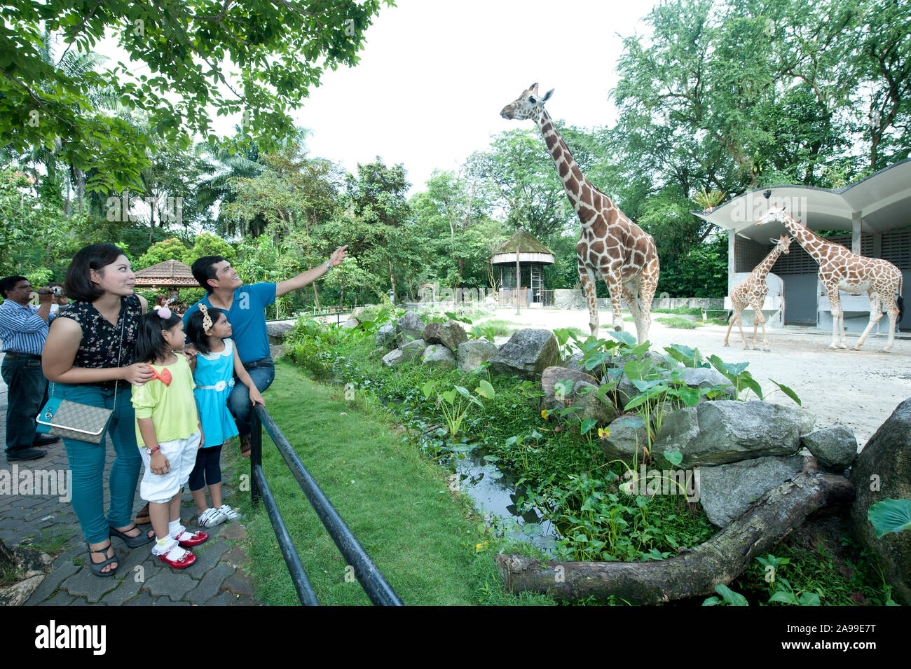 Zoo Negara Malaysia Stock Photo