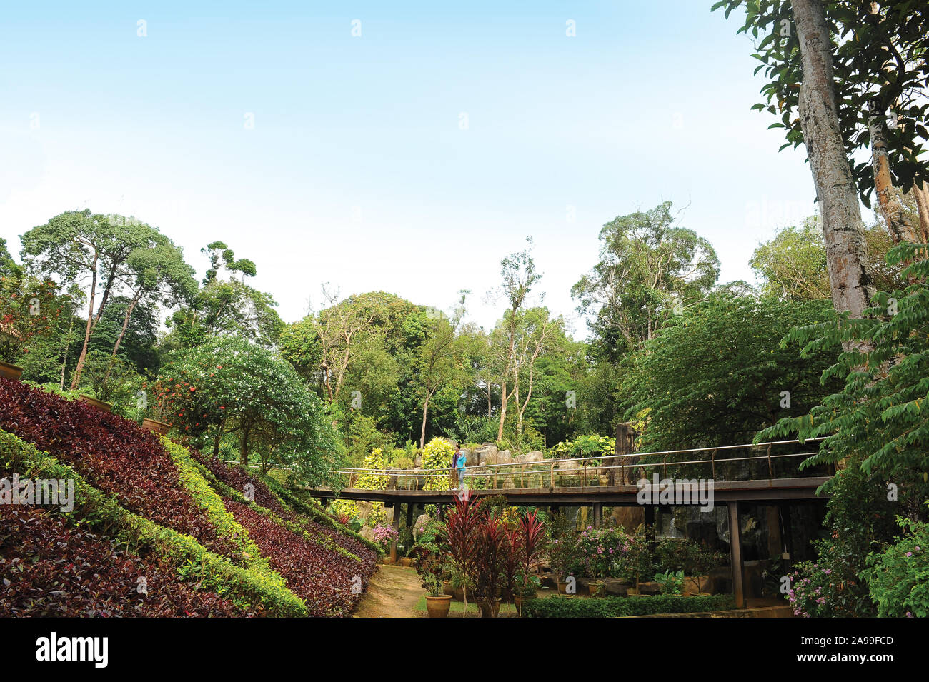 Botanical Garden, Malacca, Malaysia. Stock Photo