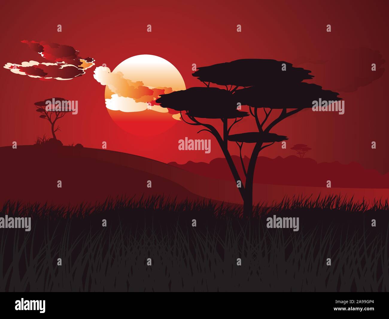 Colorful sunset scene, african landscape with silhouette of trees Stock ...
