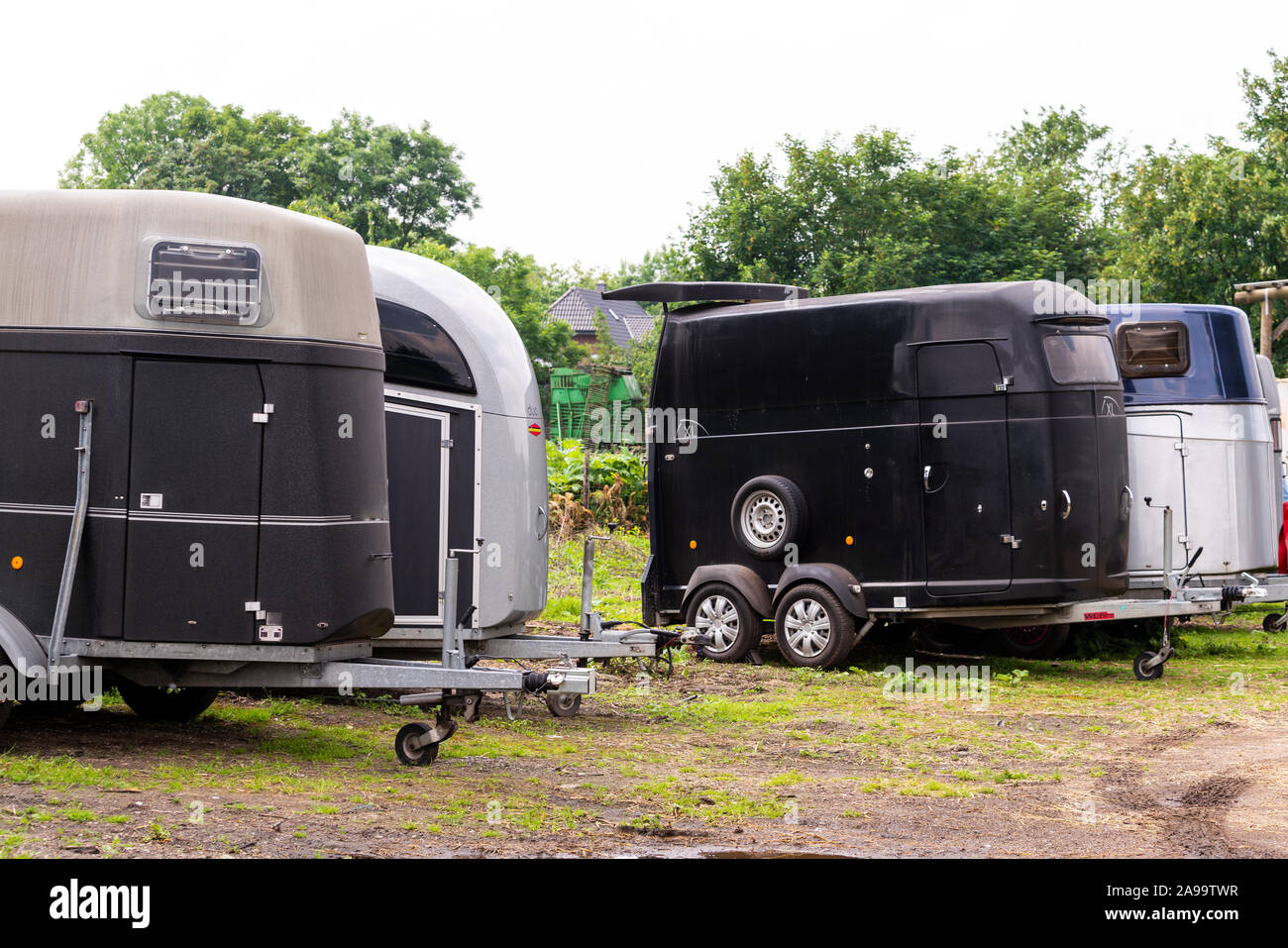 Horse transport boxes. horse trailer Stock Photo Alamy