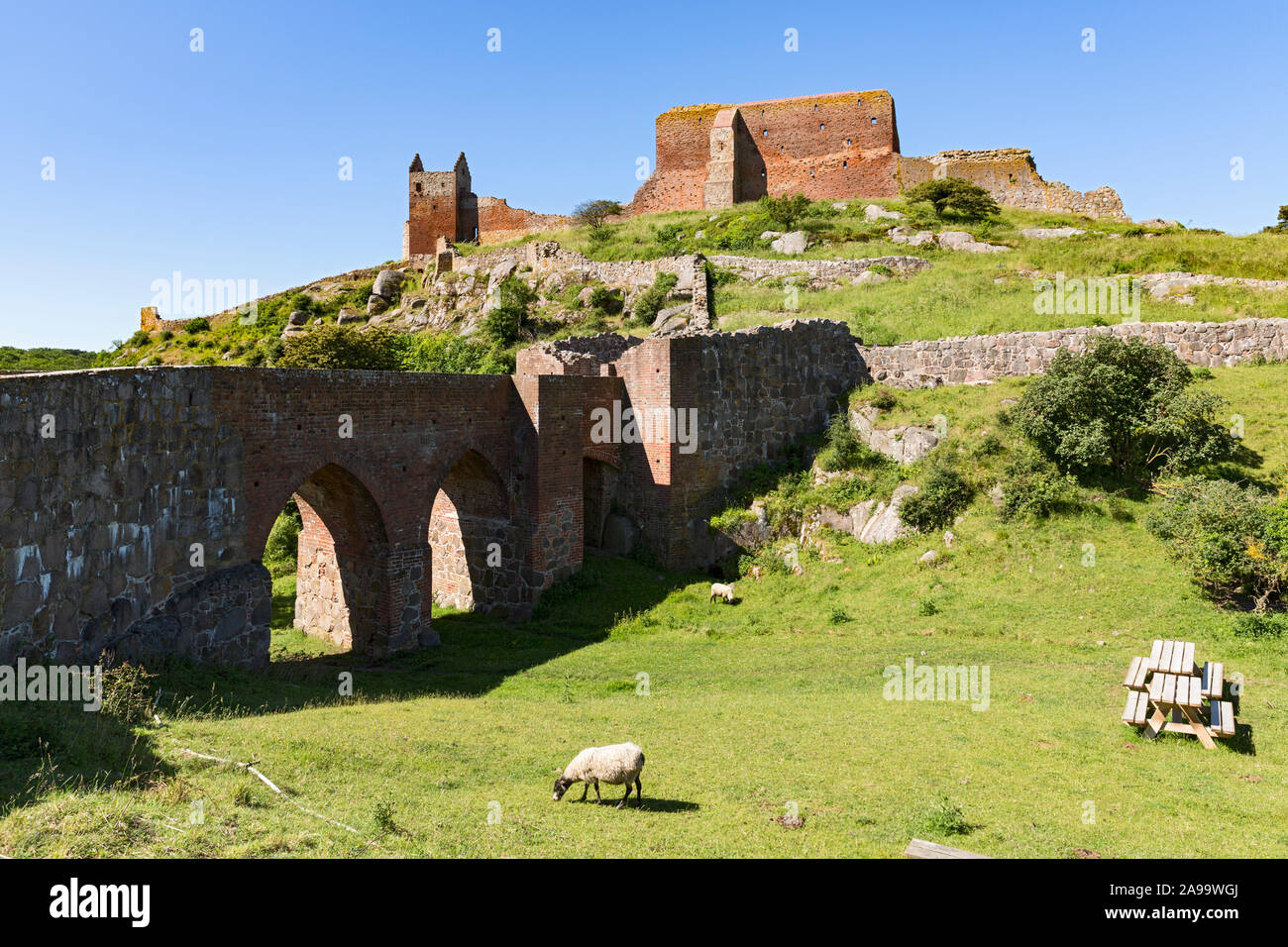Hammershus, Burgruine, Bornholm, Daenemark Stock Photo Alamy