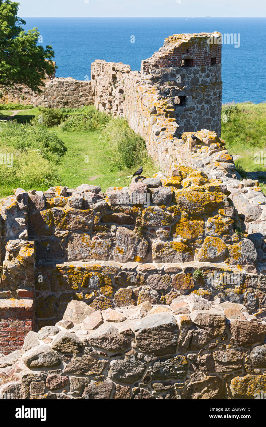 Hammershus, Burgruine, Bornholm, Daenemark Stock Photo