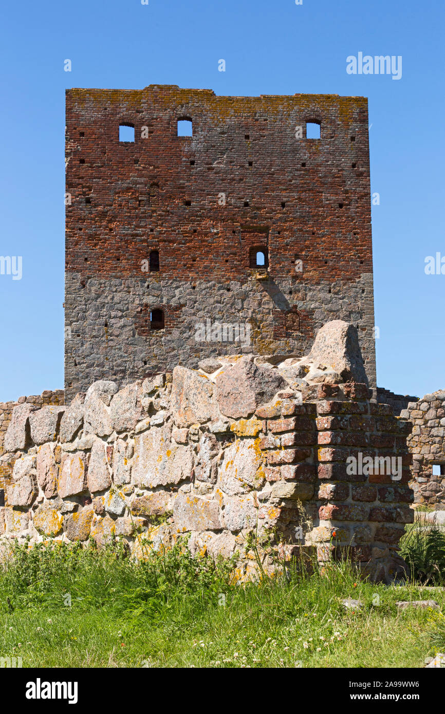 Hammershus, Burgruine, Bornholm, Daenemark Stock Photo Alamy