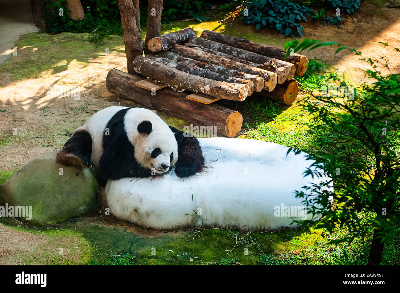 Zoo Negara High Resolution Stock Photography And Images Alamy