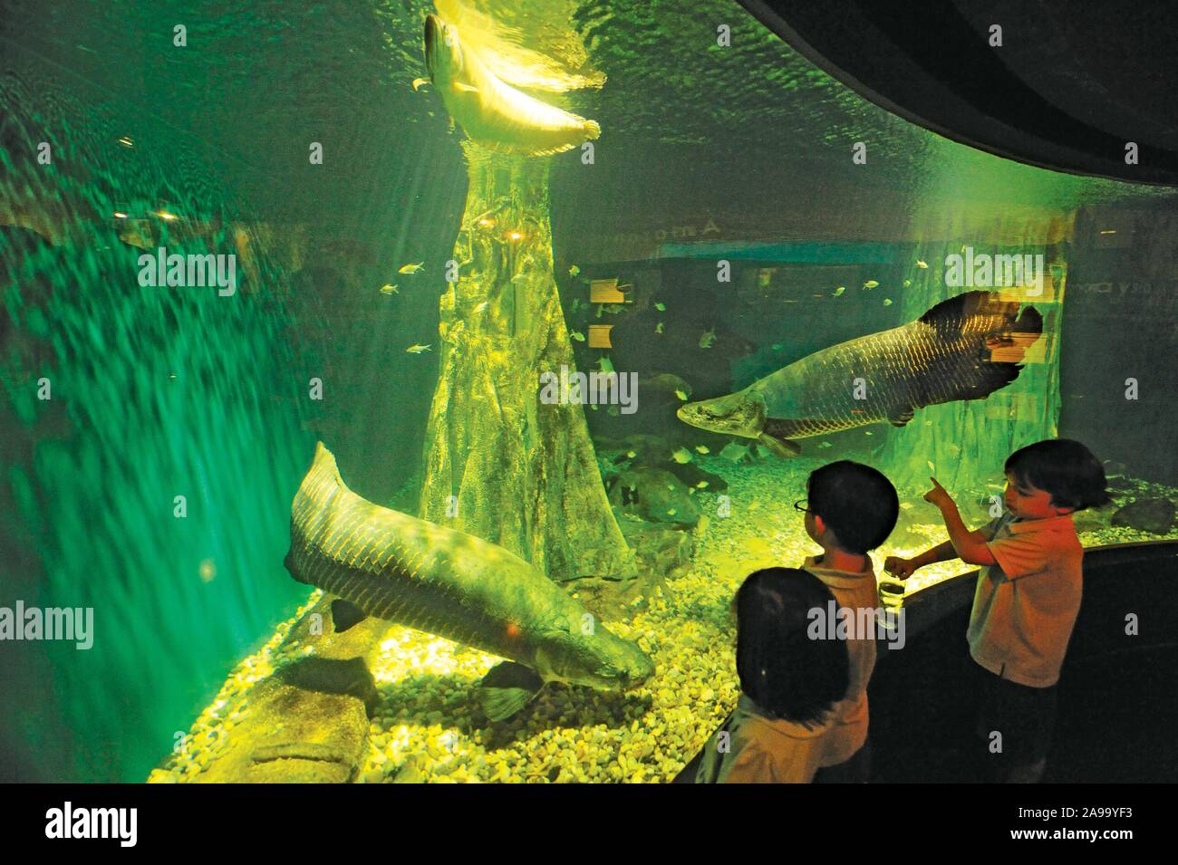 Aquaria KLCC, Kuala Lumpur, Malaysia Stock Photo Alamy