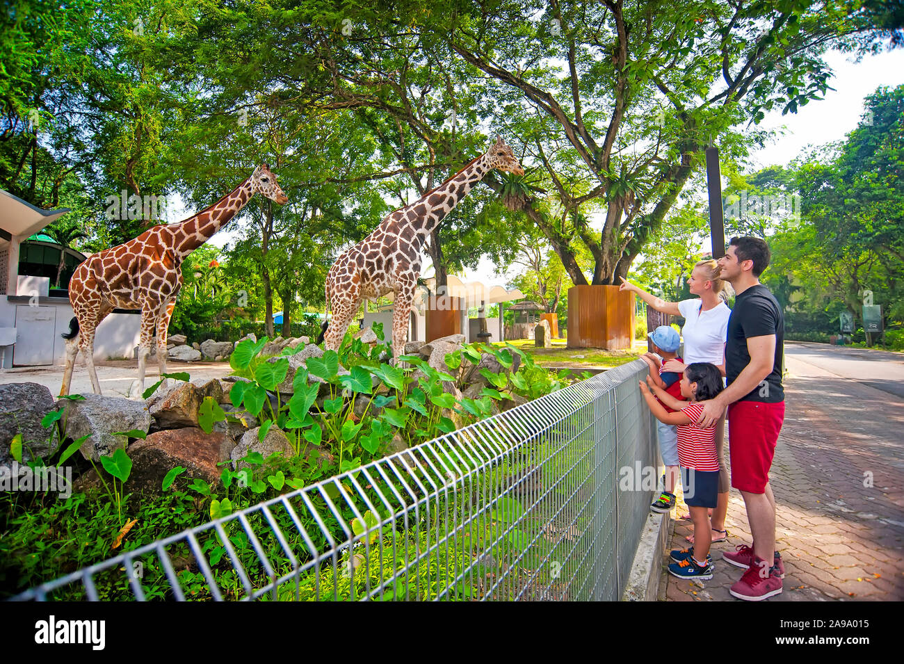 Zoo Negara Malaysia Stock Photo Alamy